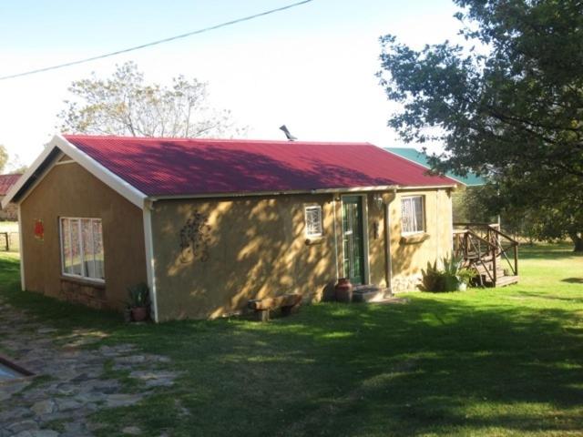 Photo 48