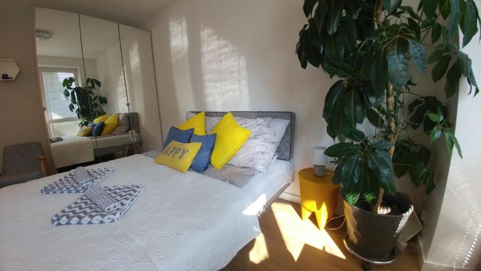 Apartament Centrum, photo 16