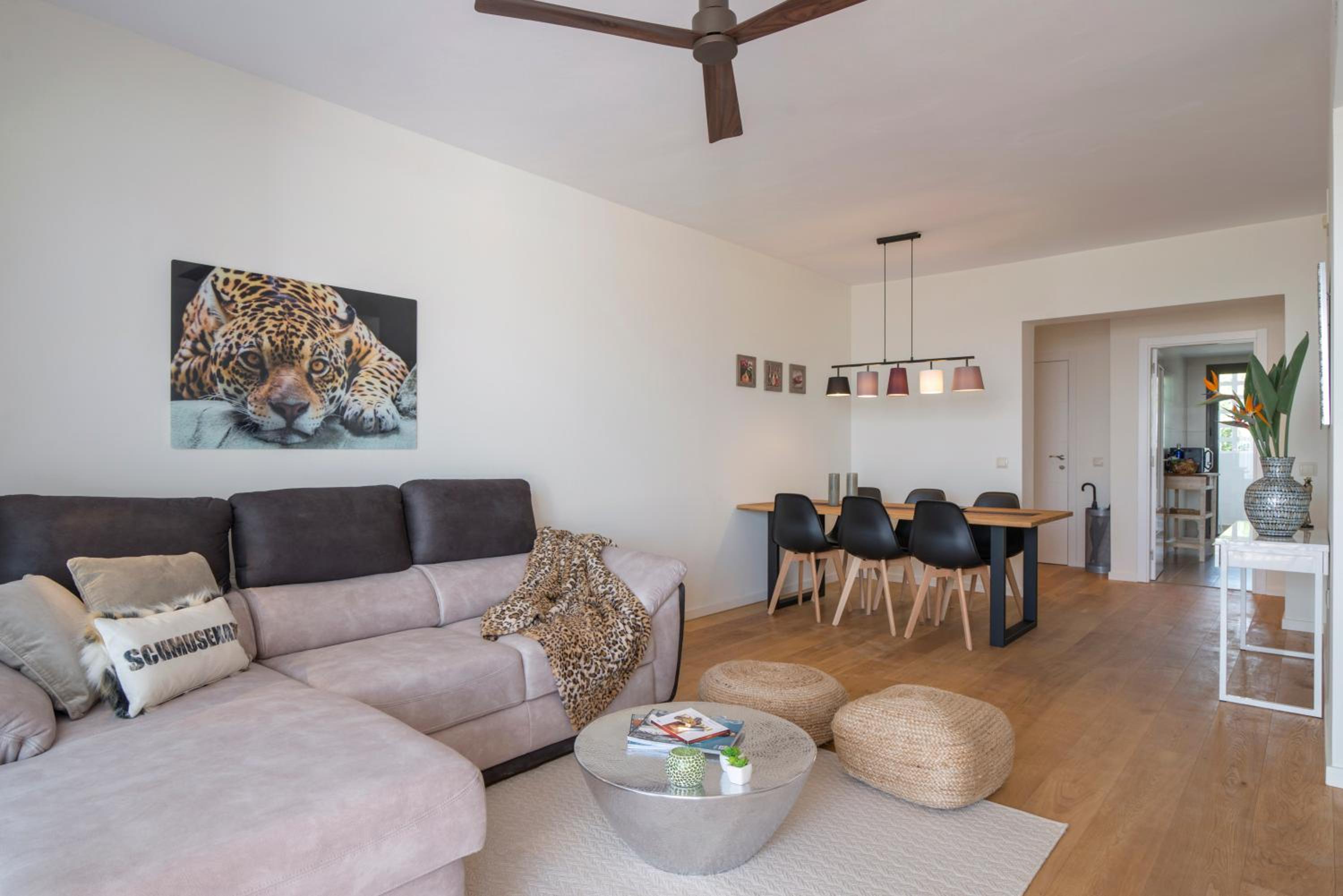 Luxury Apartment Rosita view 5
