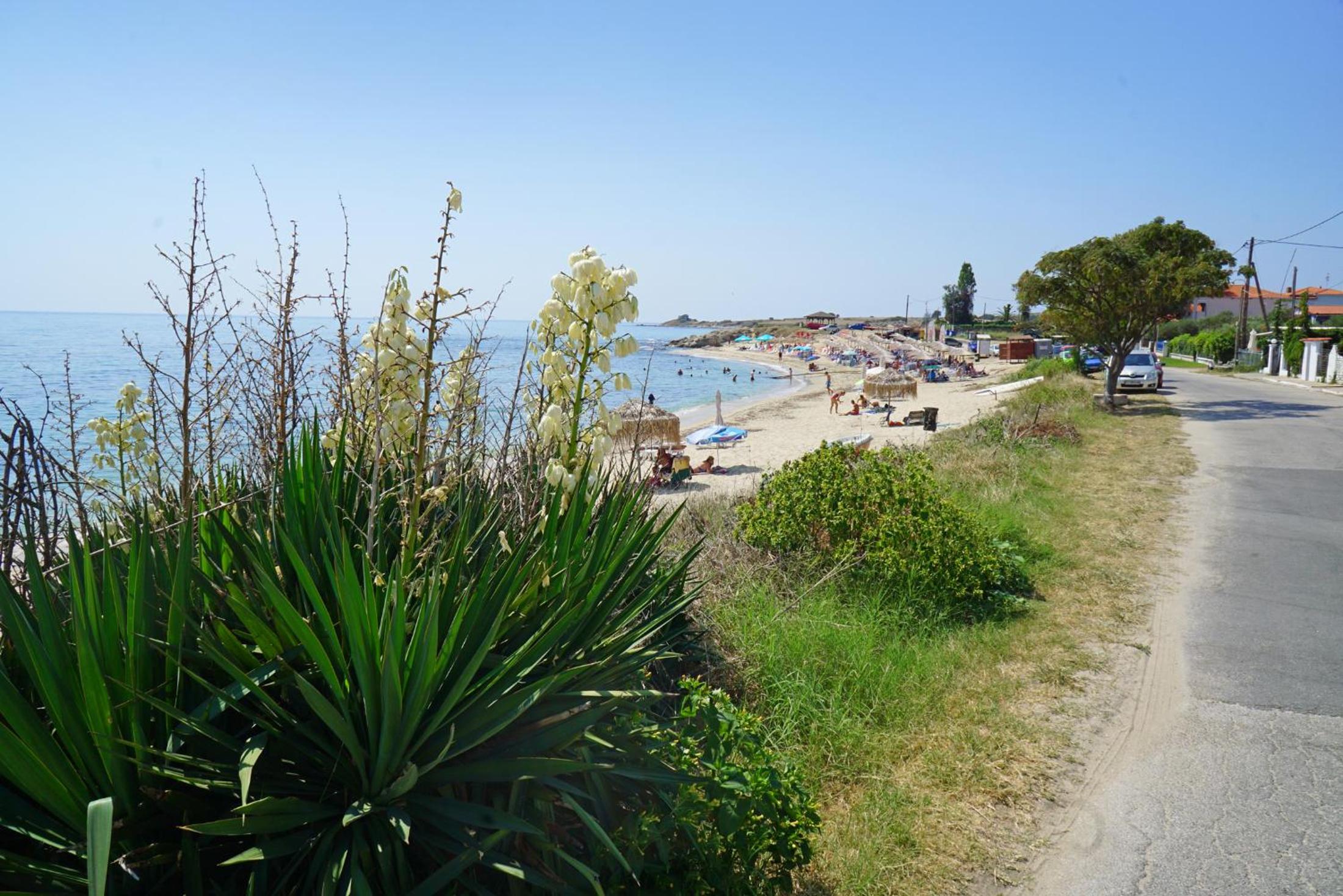 Avdira Seaside House view 4