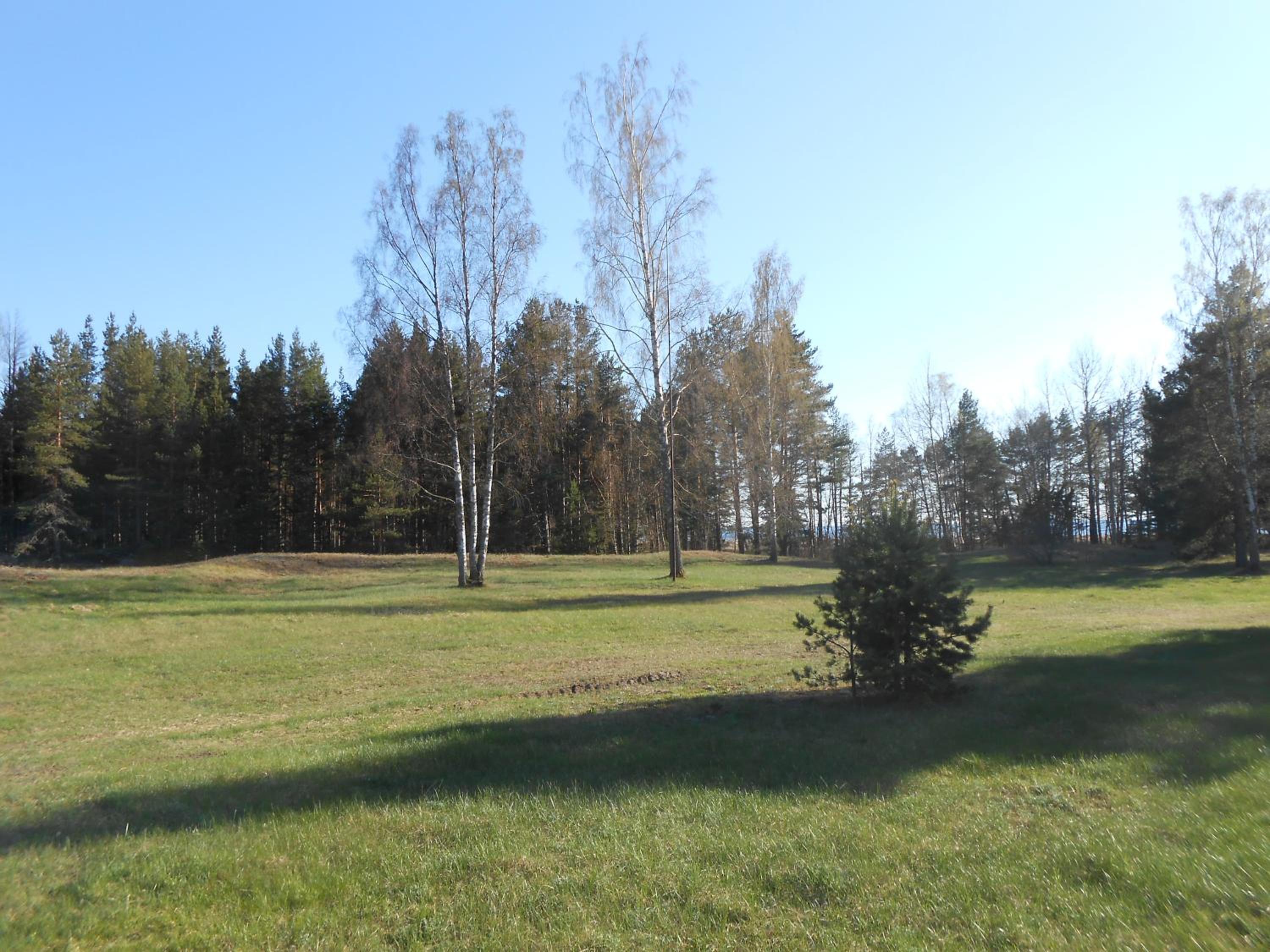 Photo 44