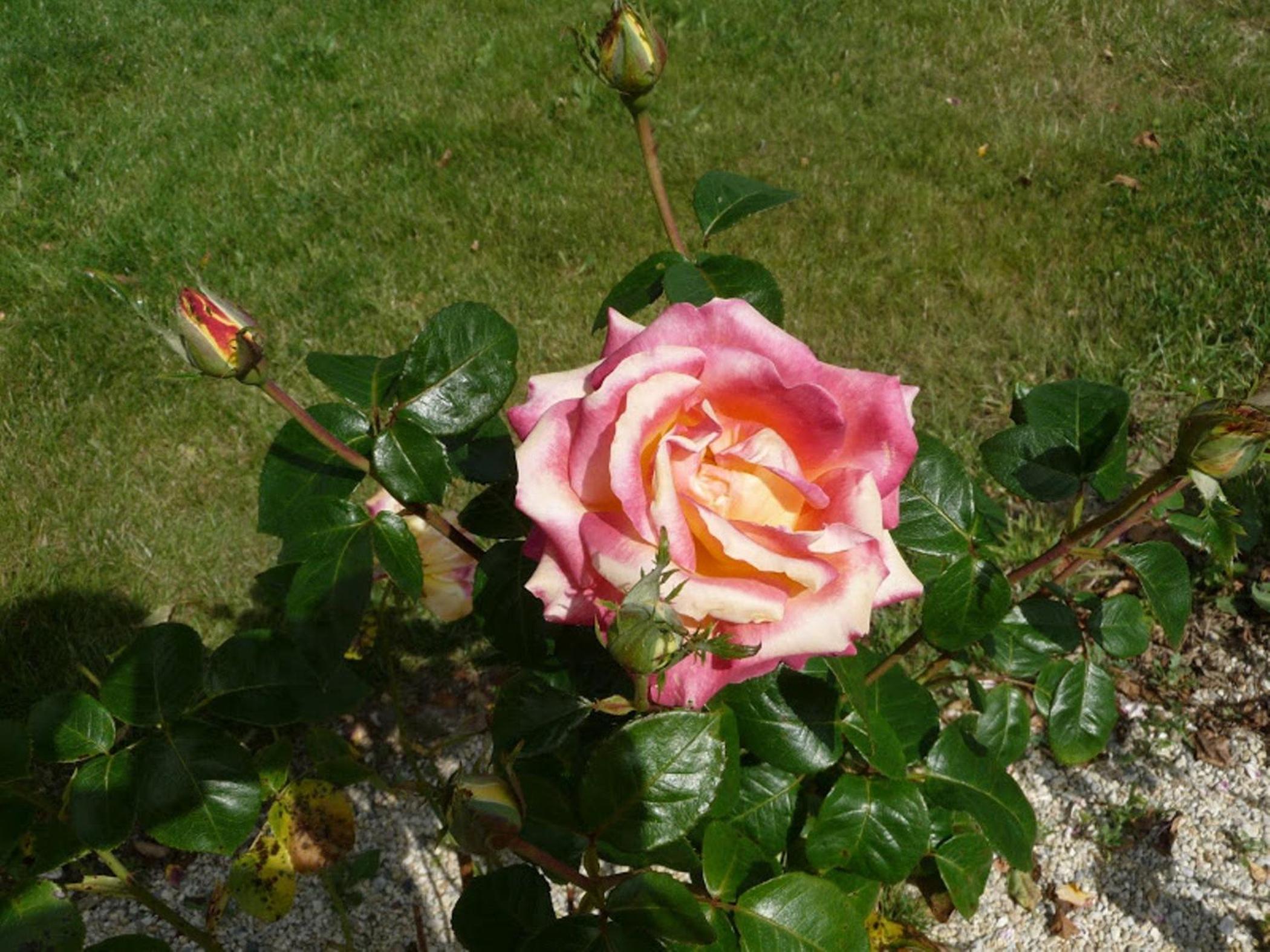 Photo 30
