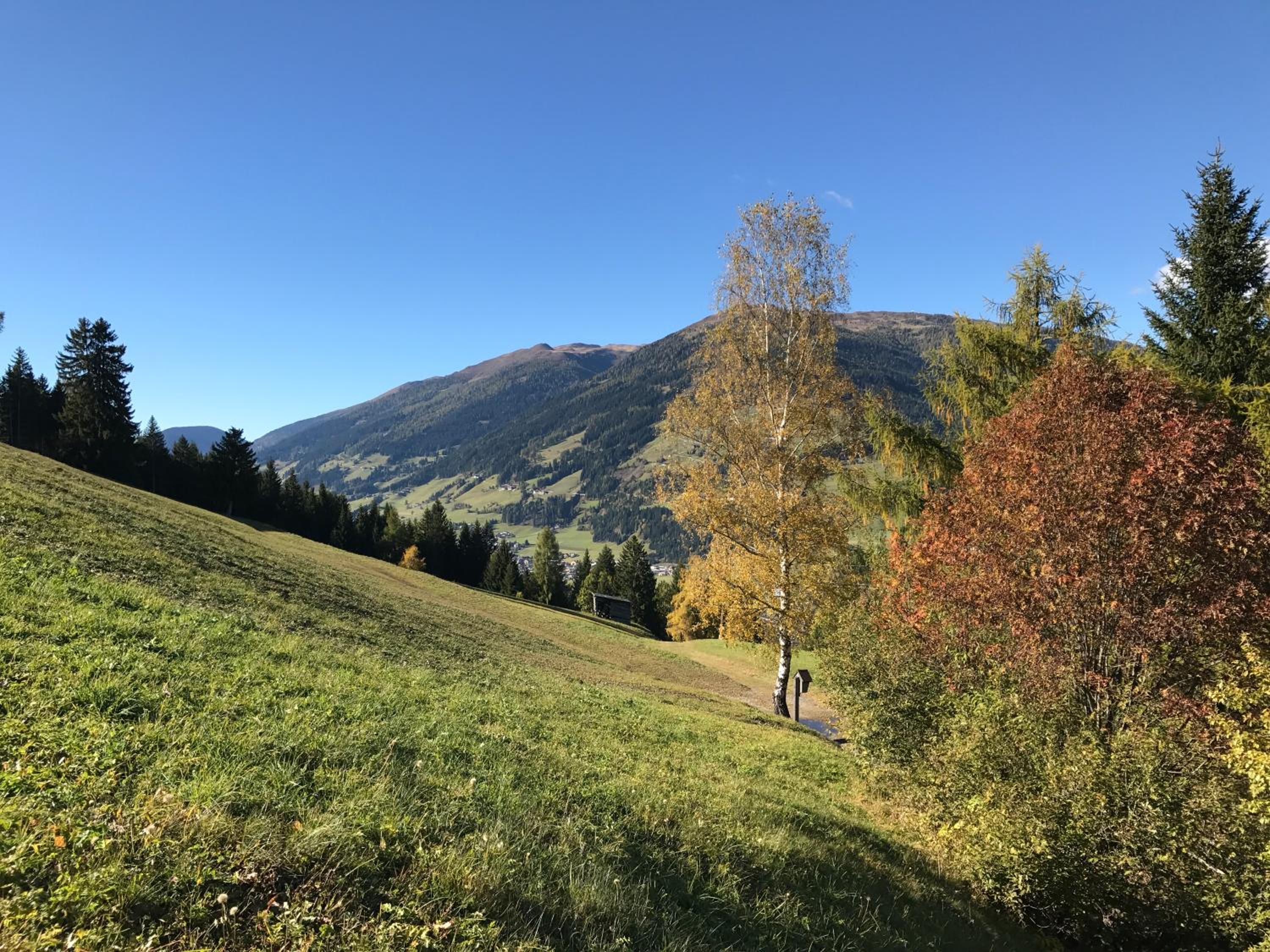 Bleierhof Apartment
