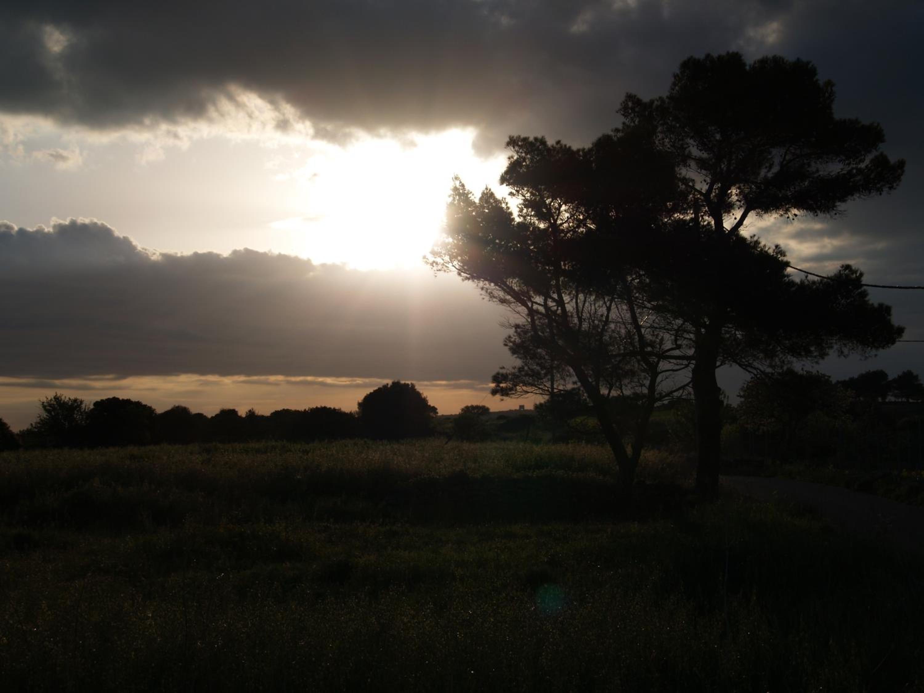 Photo 51