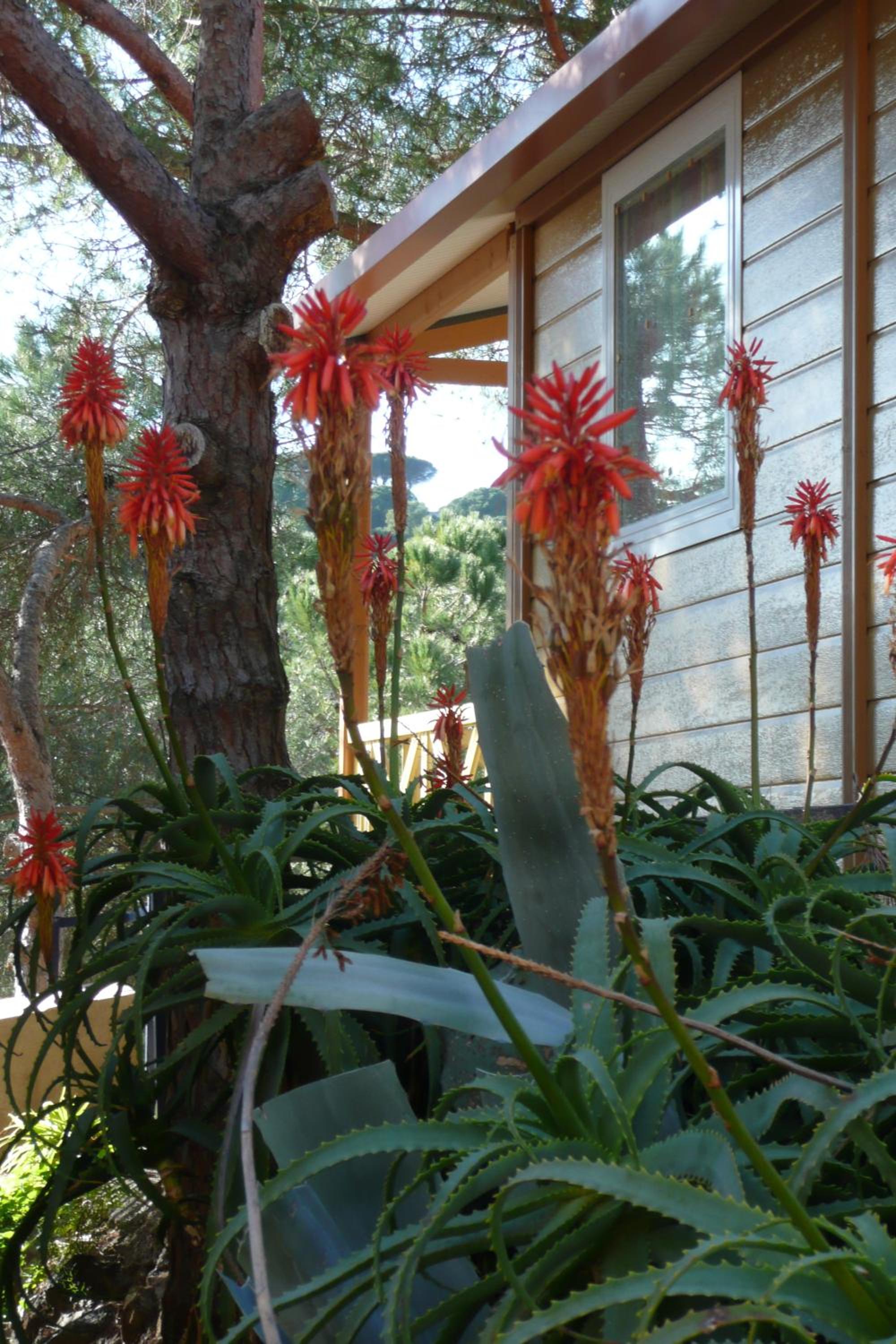 Camping Roca Grossa