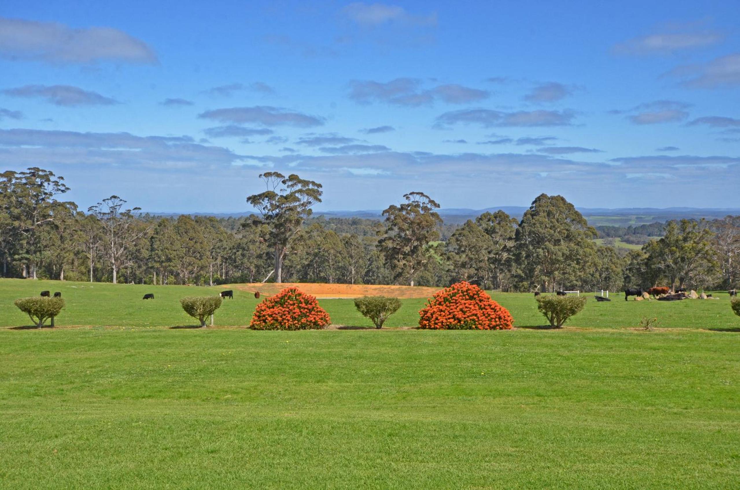 Sensational Heights Bed & Breakfast