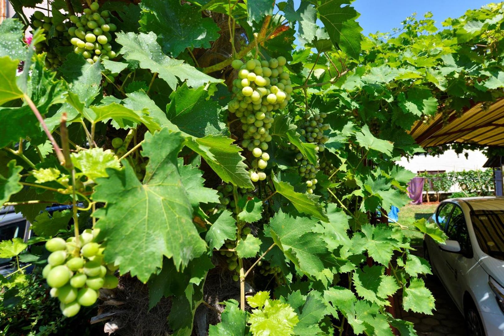 Apartment Complex Nevia - Property Image 7