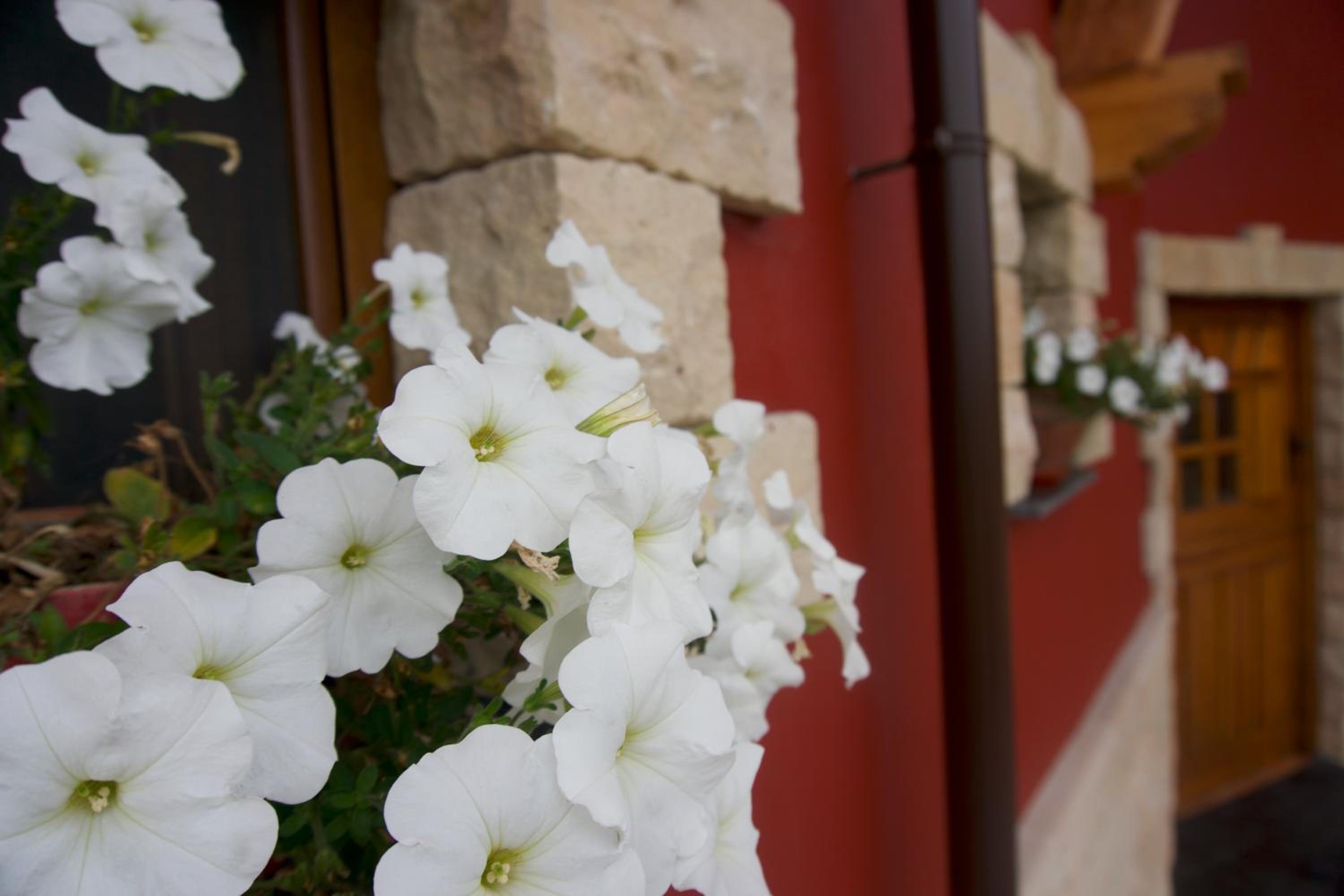 La Cala Hostel