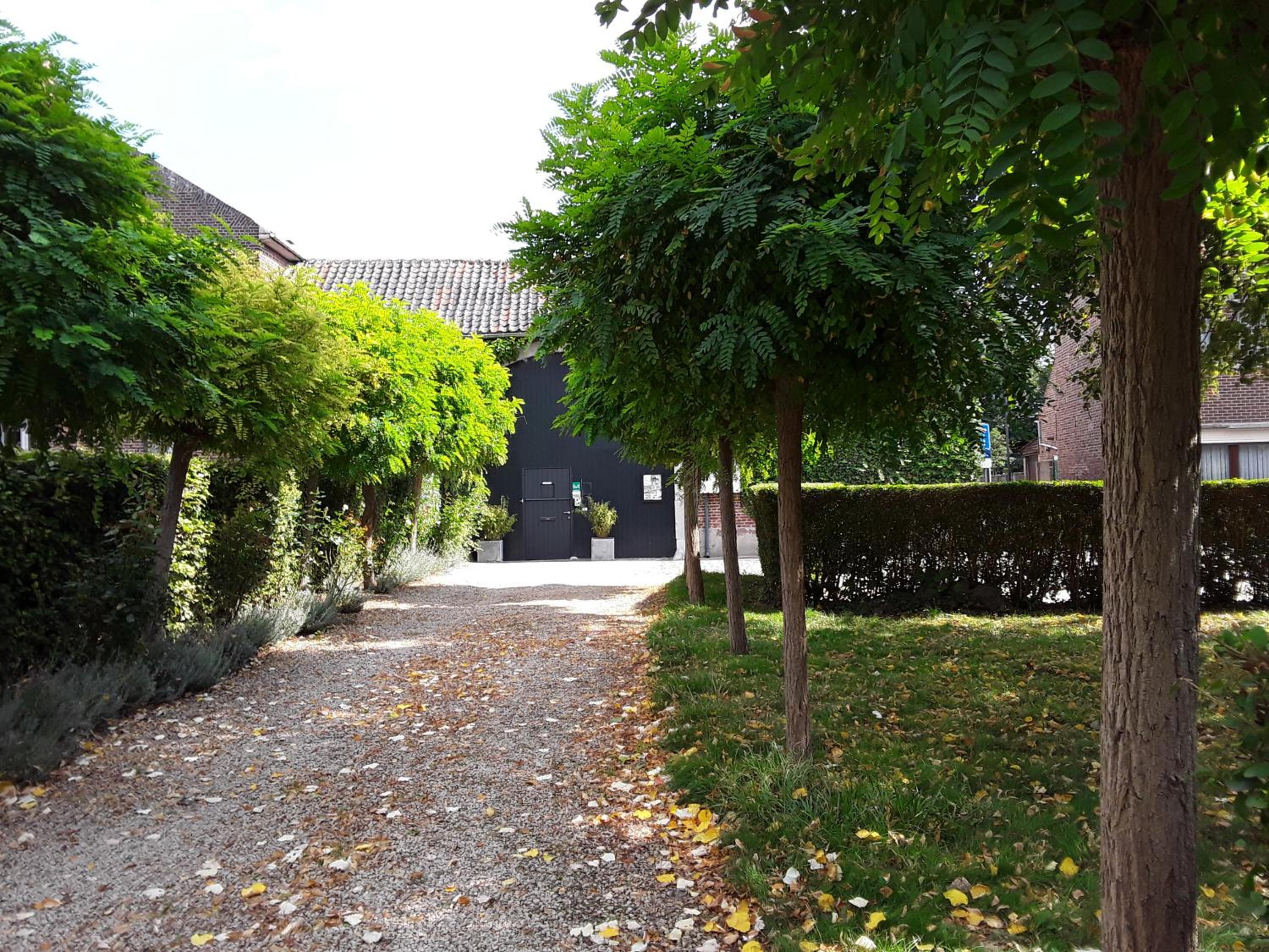B&B Sapere