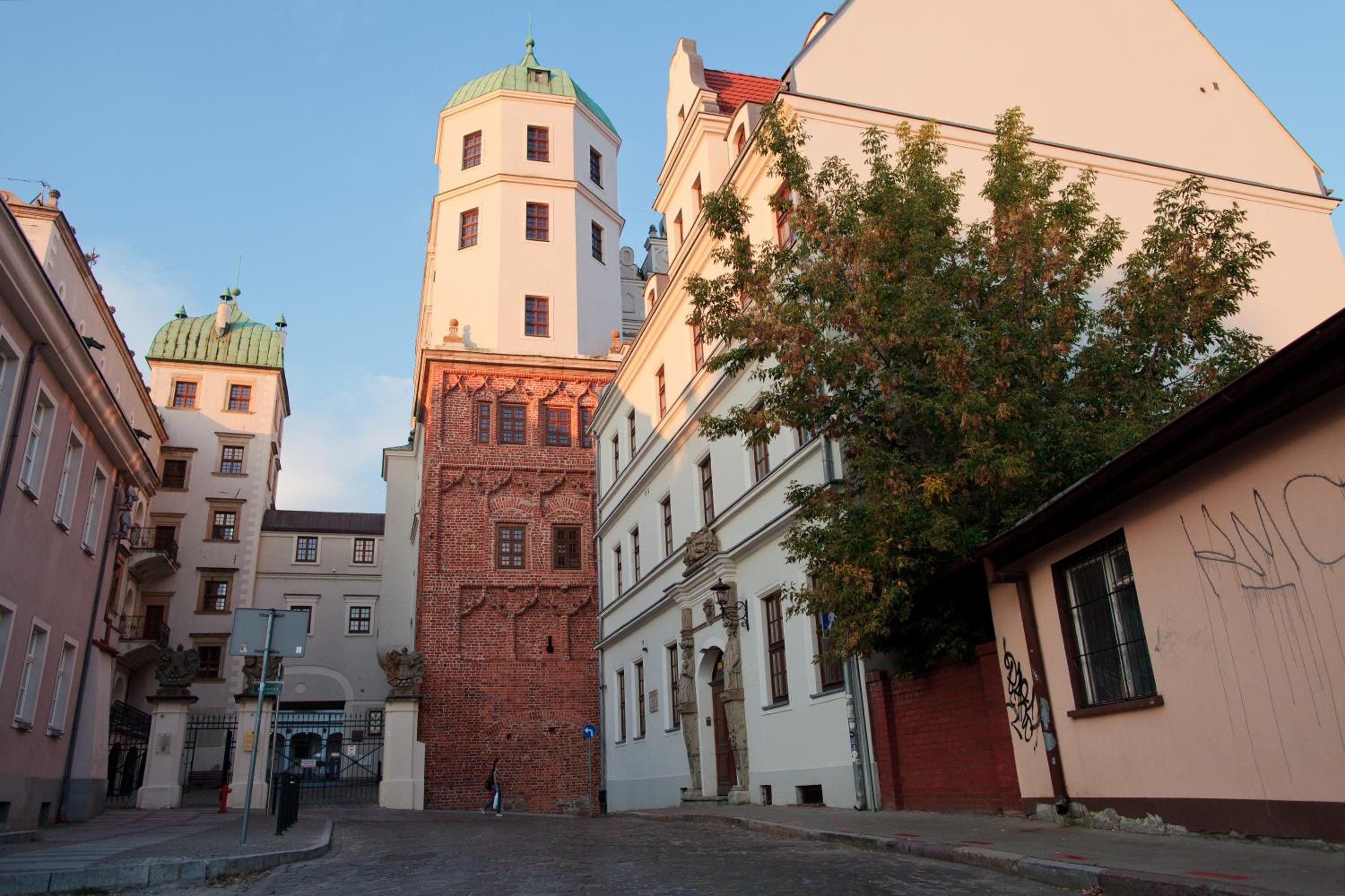 Photo 25