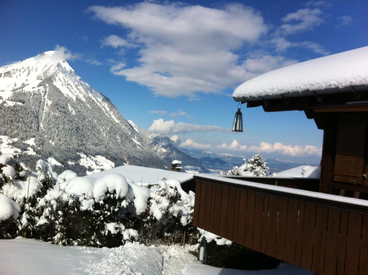 Chalet Tannegg