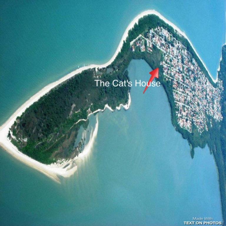 The Cats' House