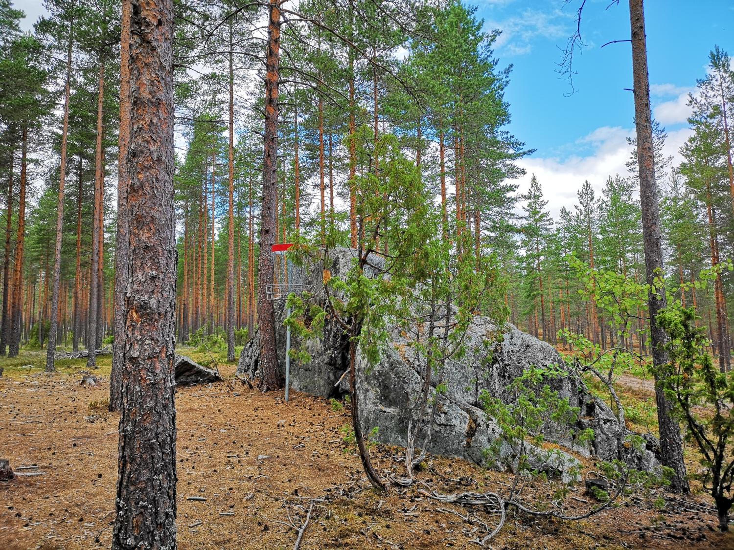 Photo 24
