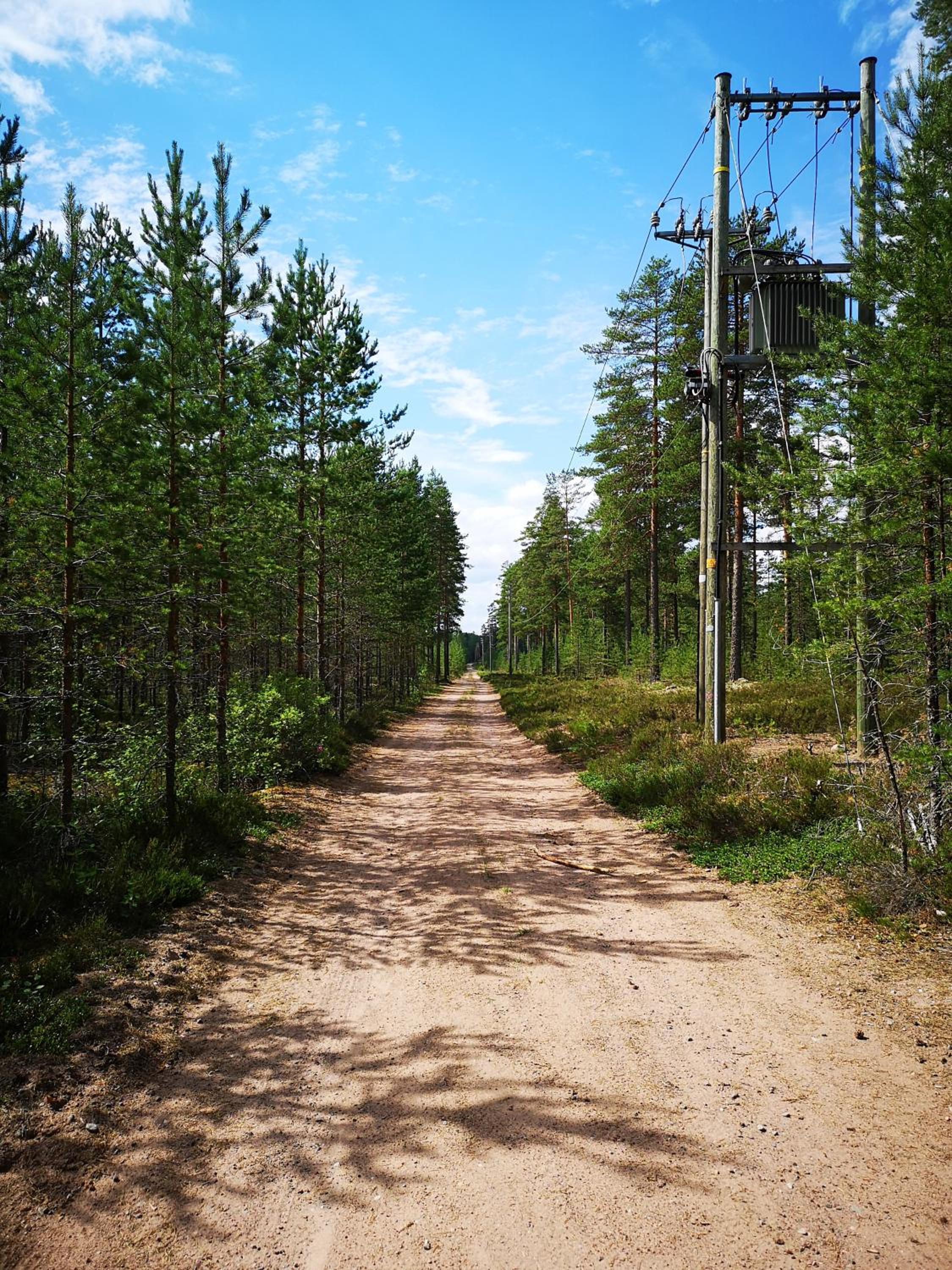 Photo 25