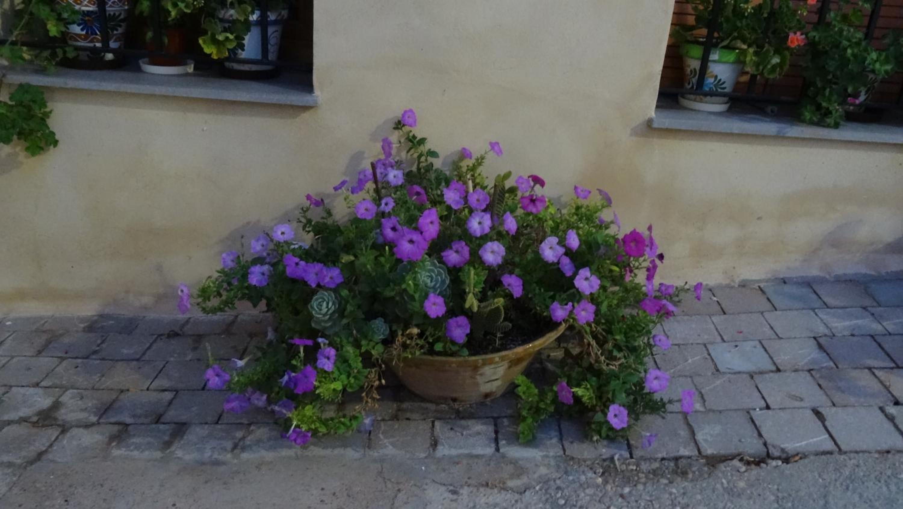 Casa Rural Francisca