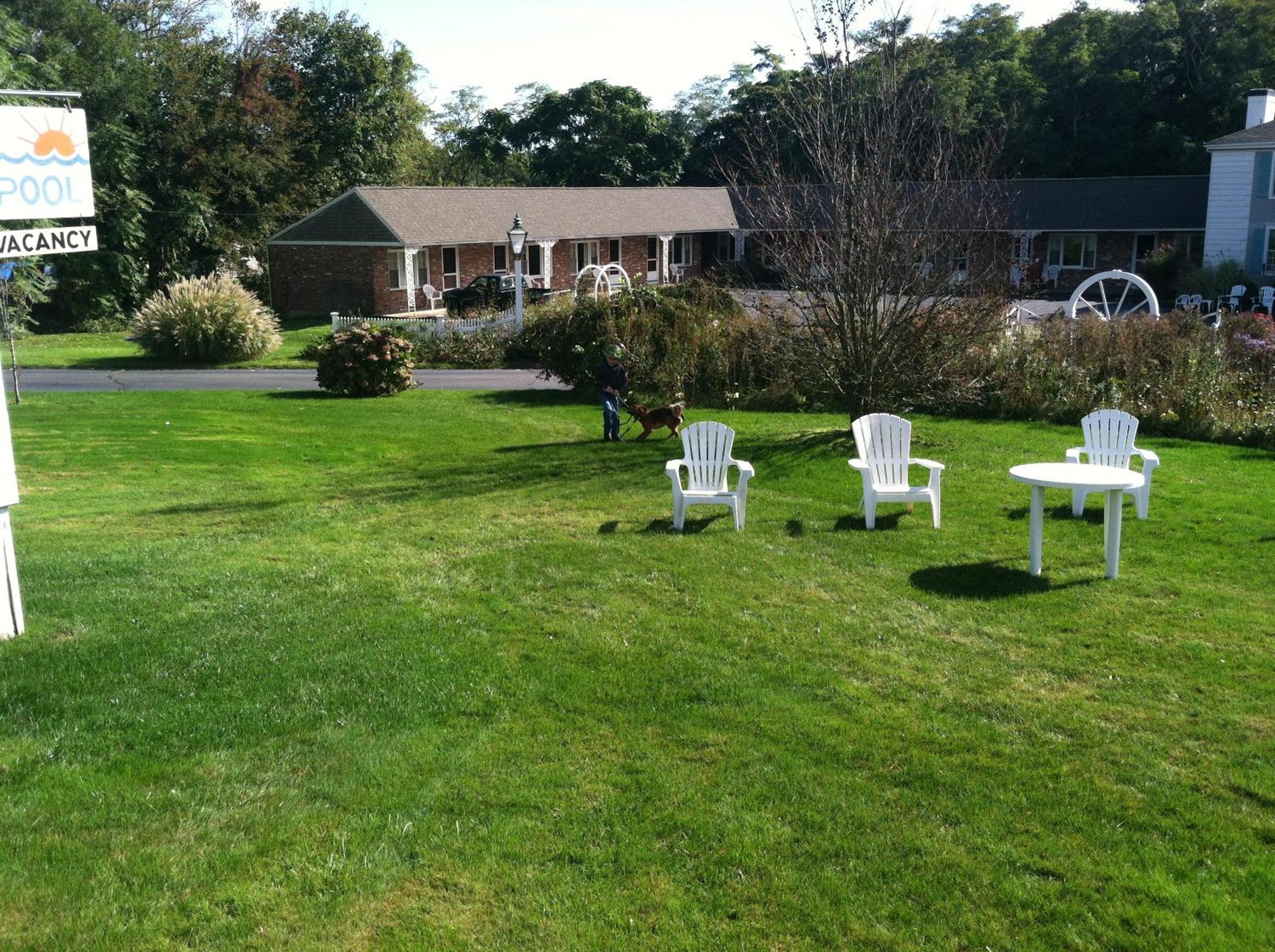 Photo 42