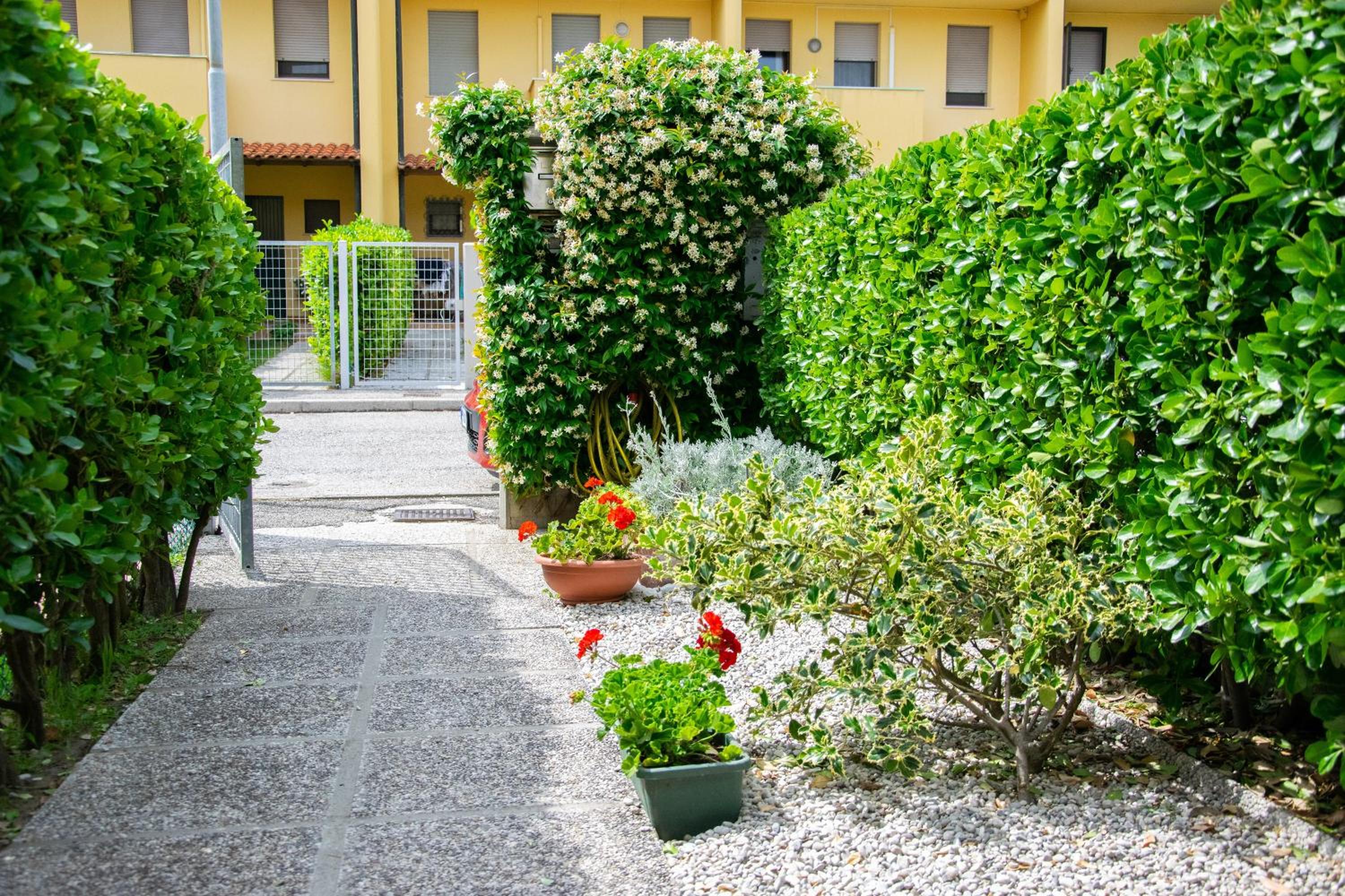 B&B Il Glicine Fiorito view 3