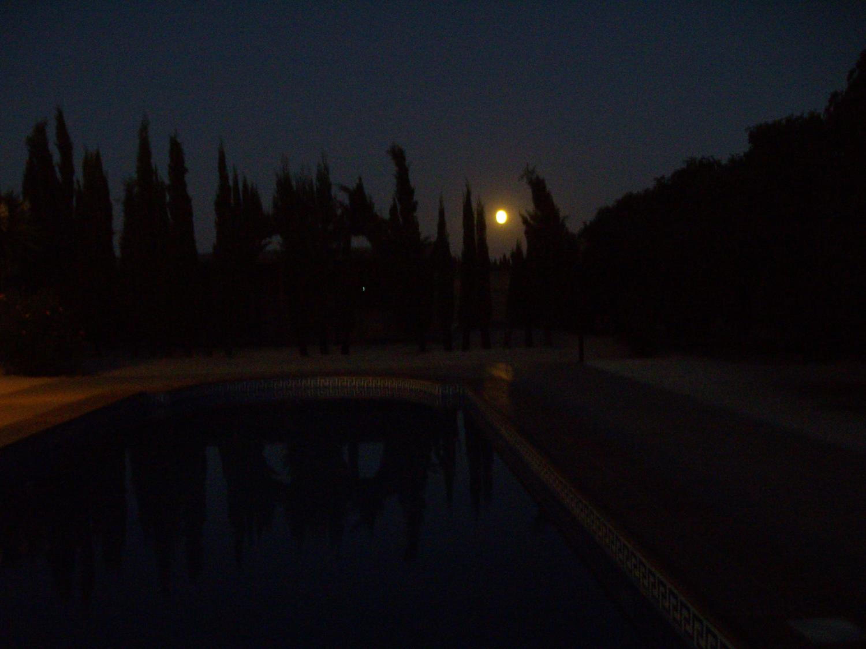 Photo 51