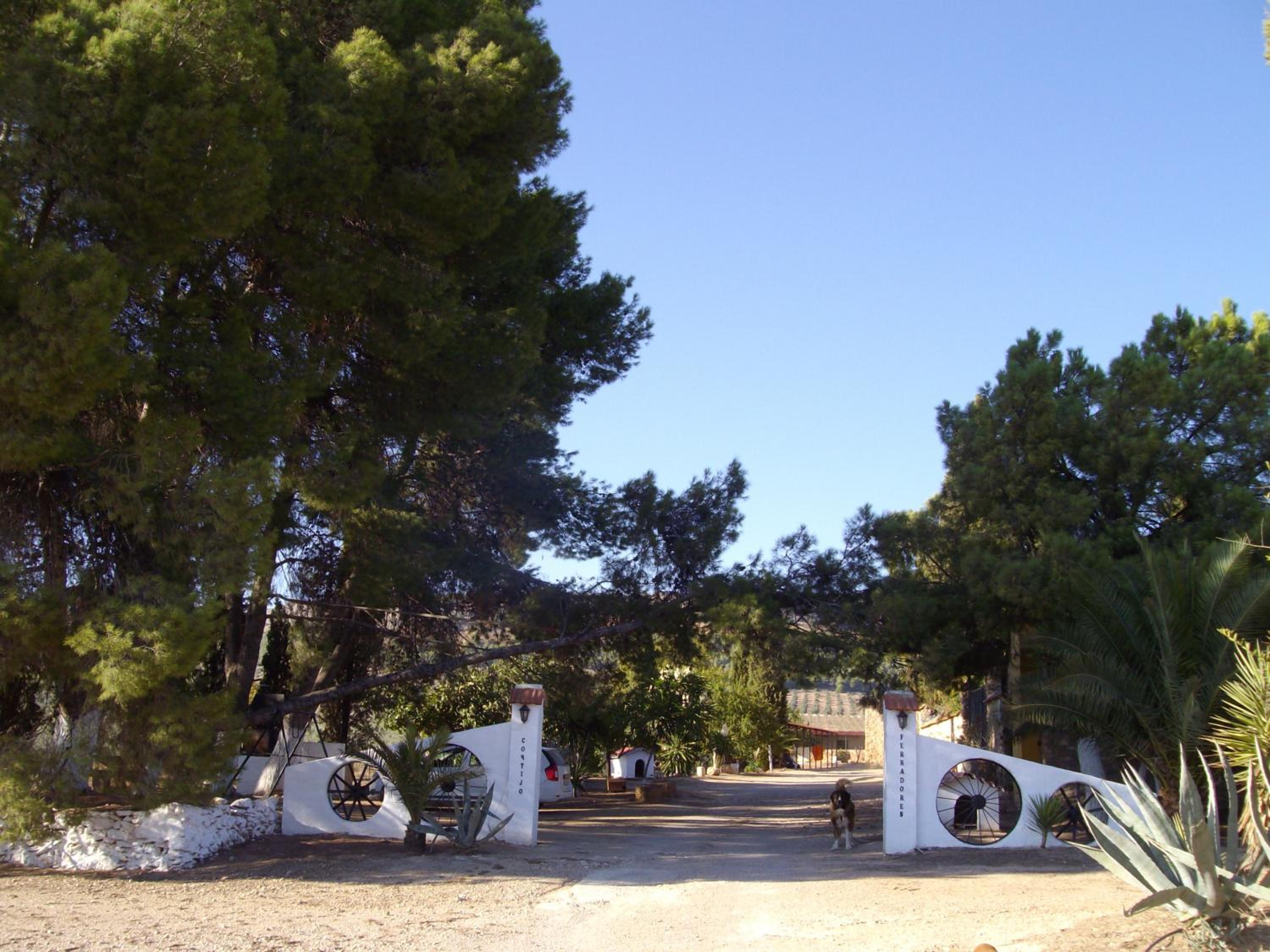 Photo 49