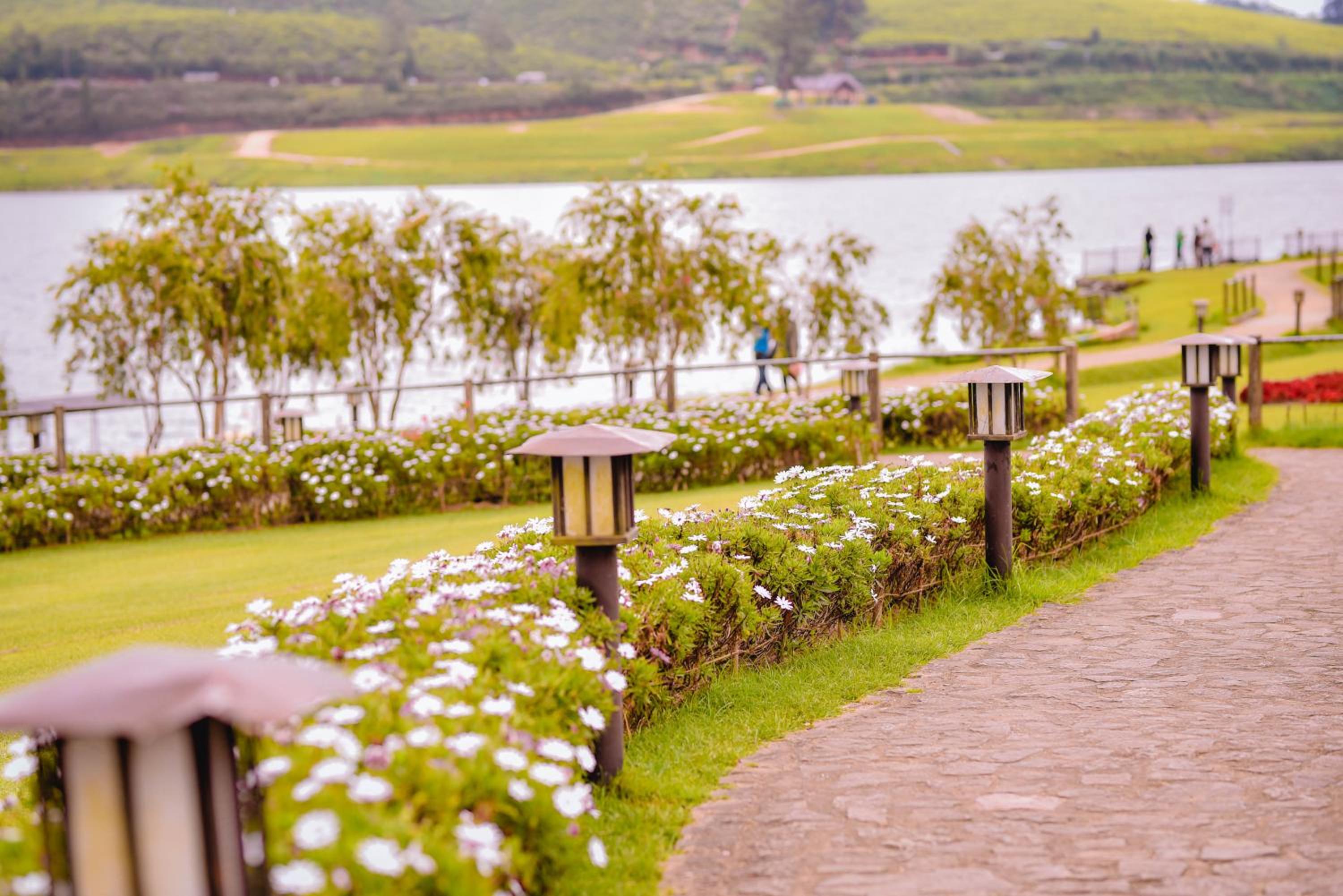 Top Terrace Cottage