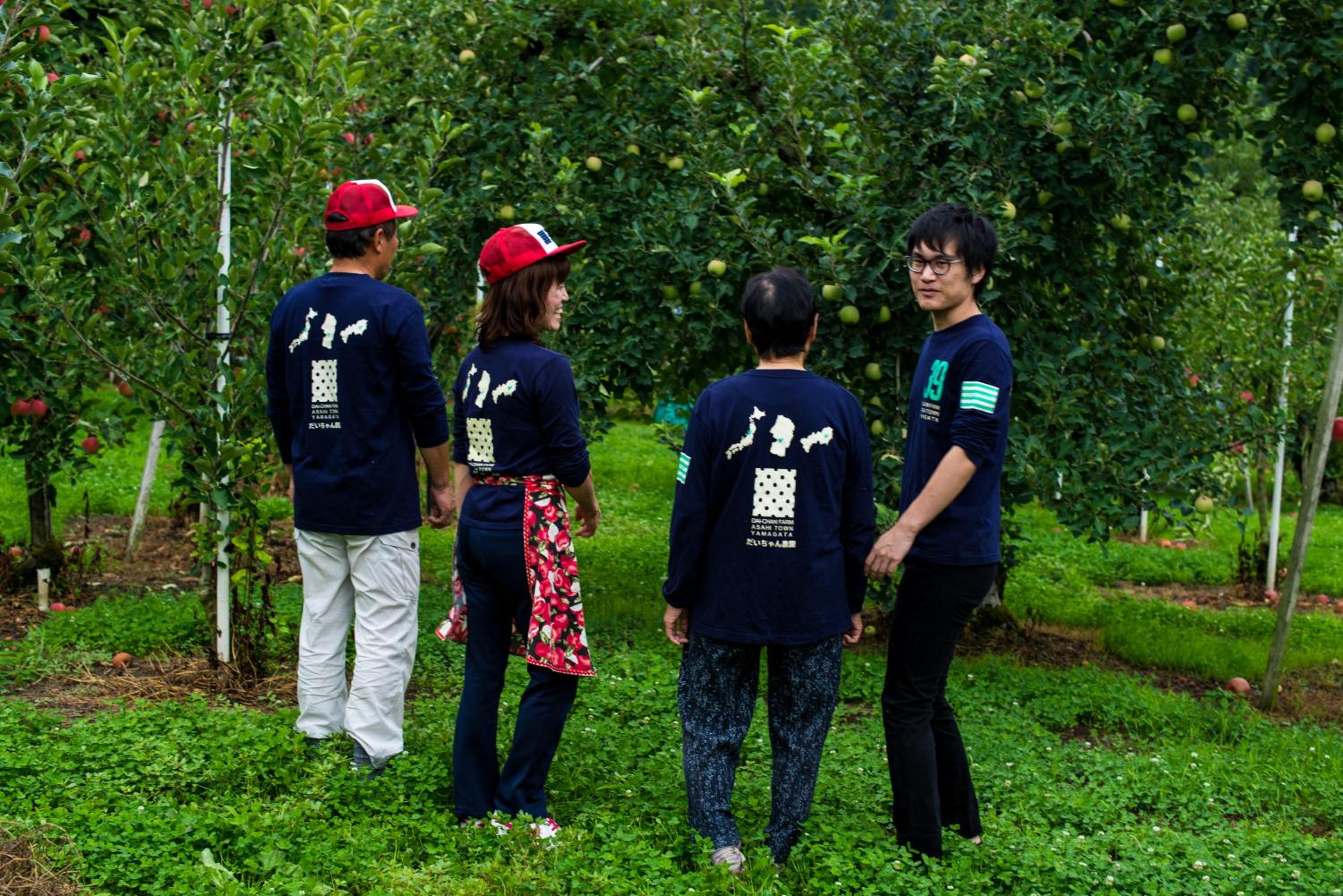 Daichan Farm Guest House view 5