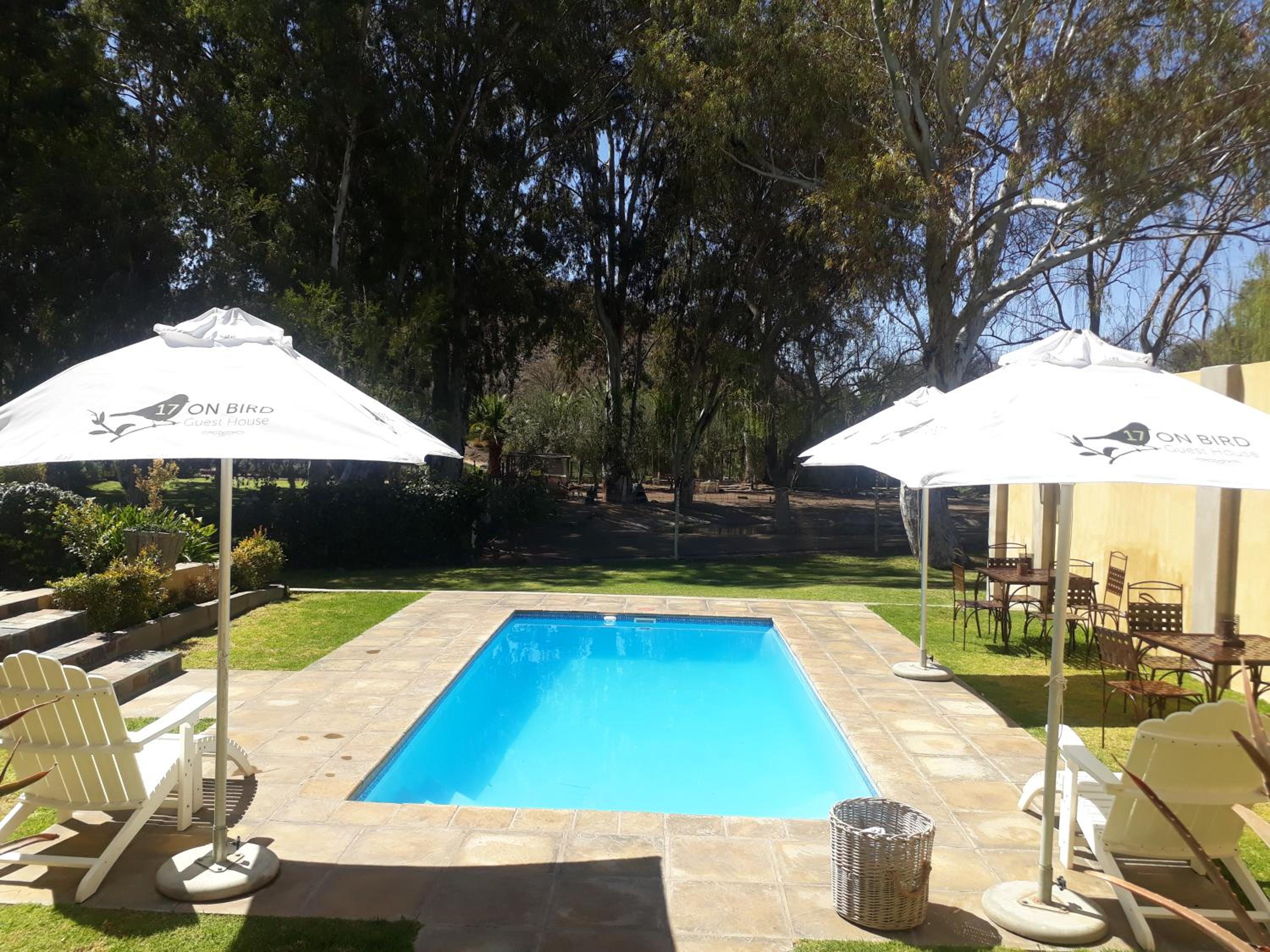 17 on Bird Guest House