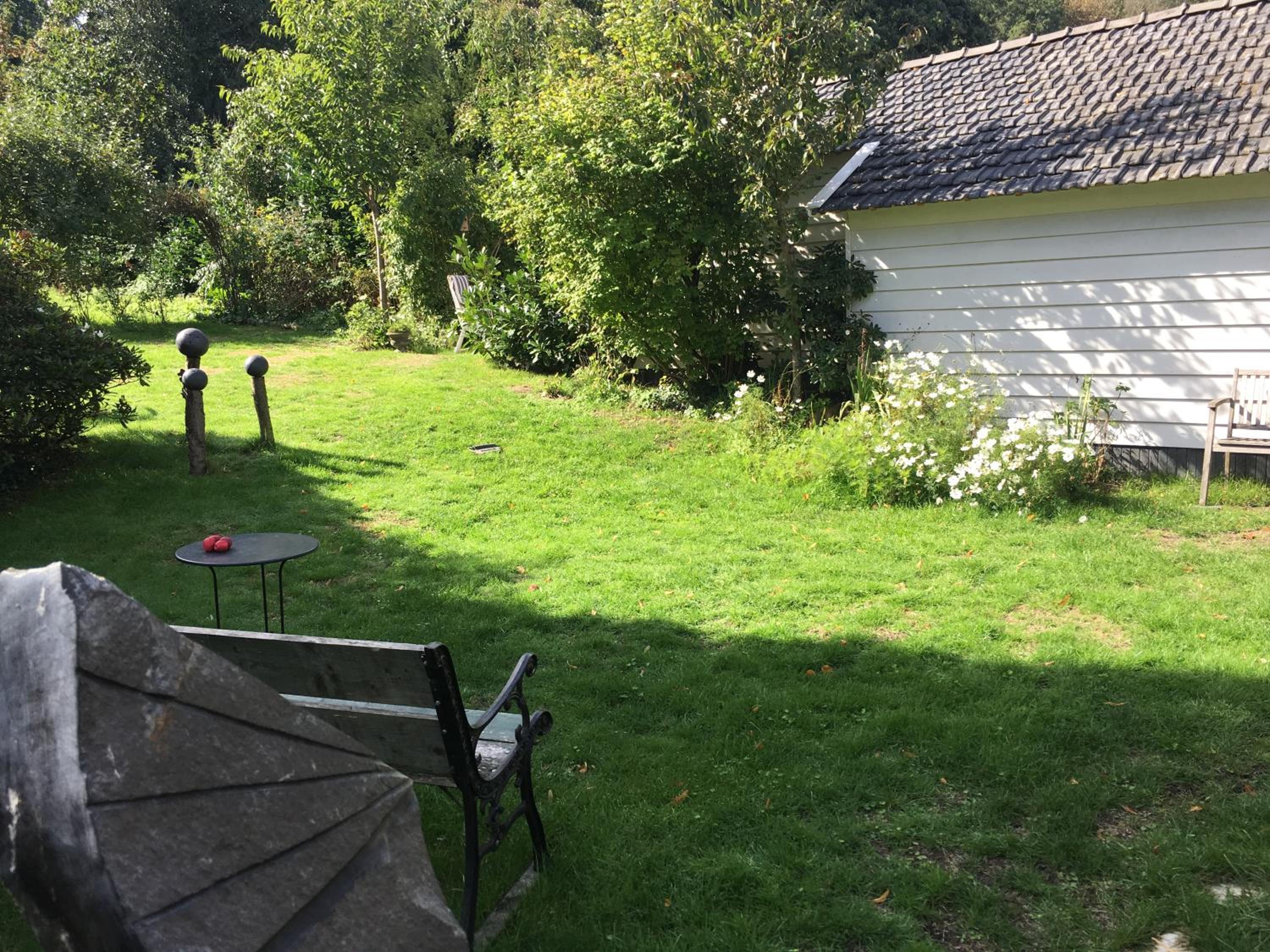 Photo 24