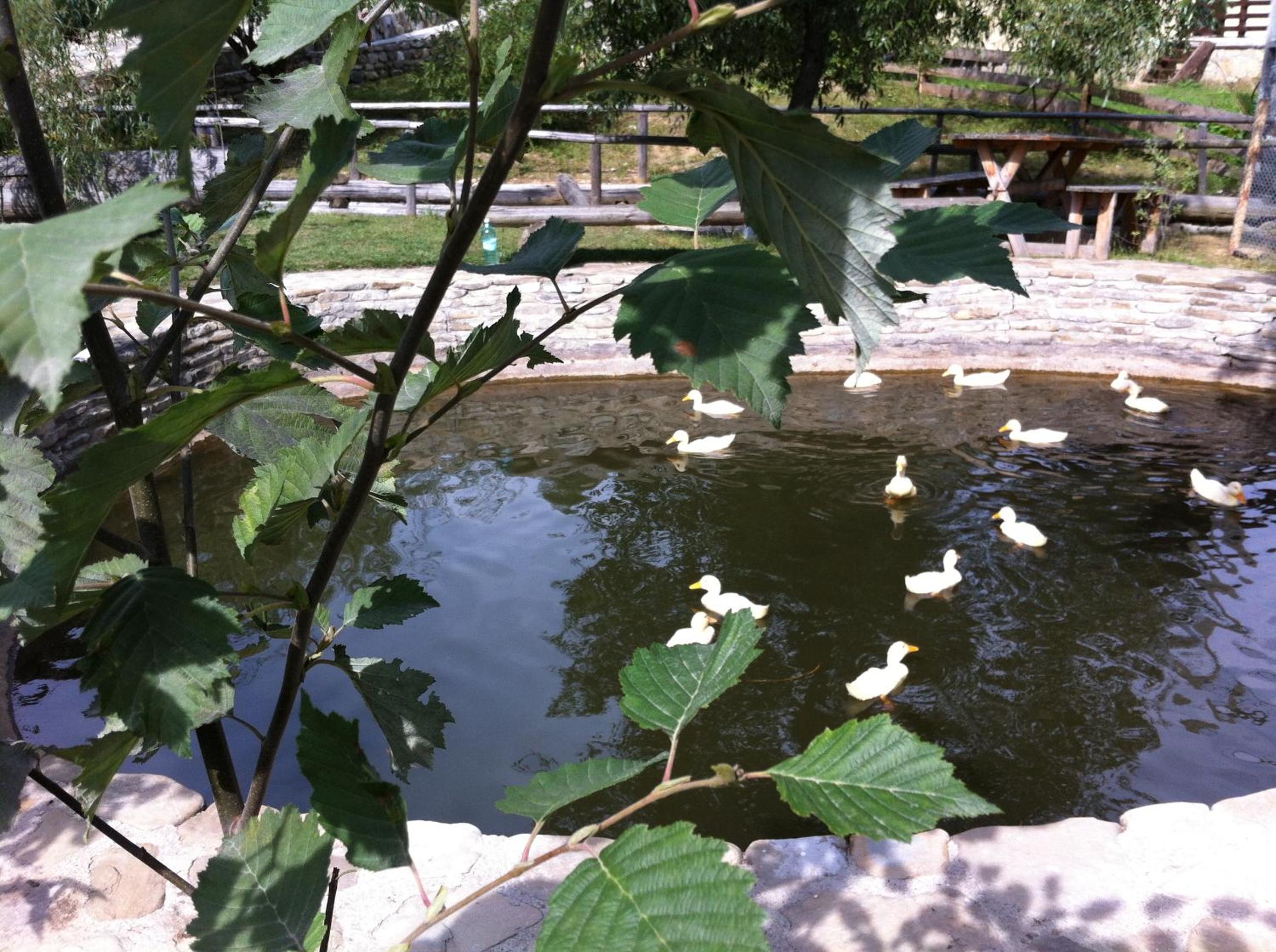 Photo 20