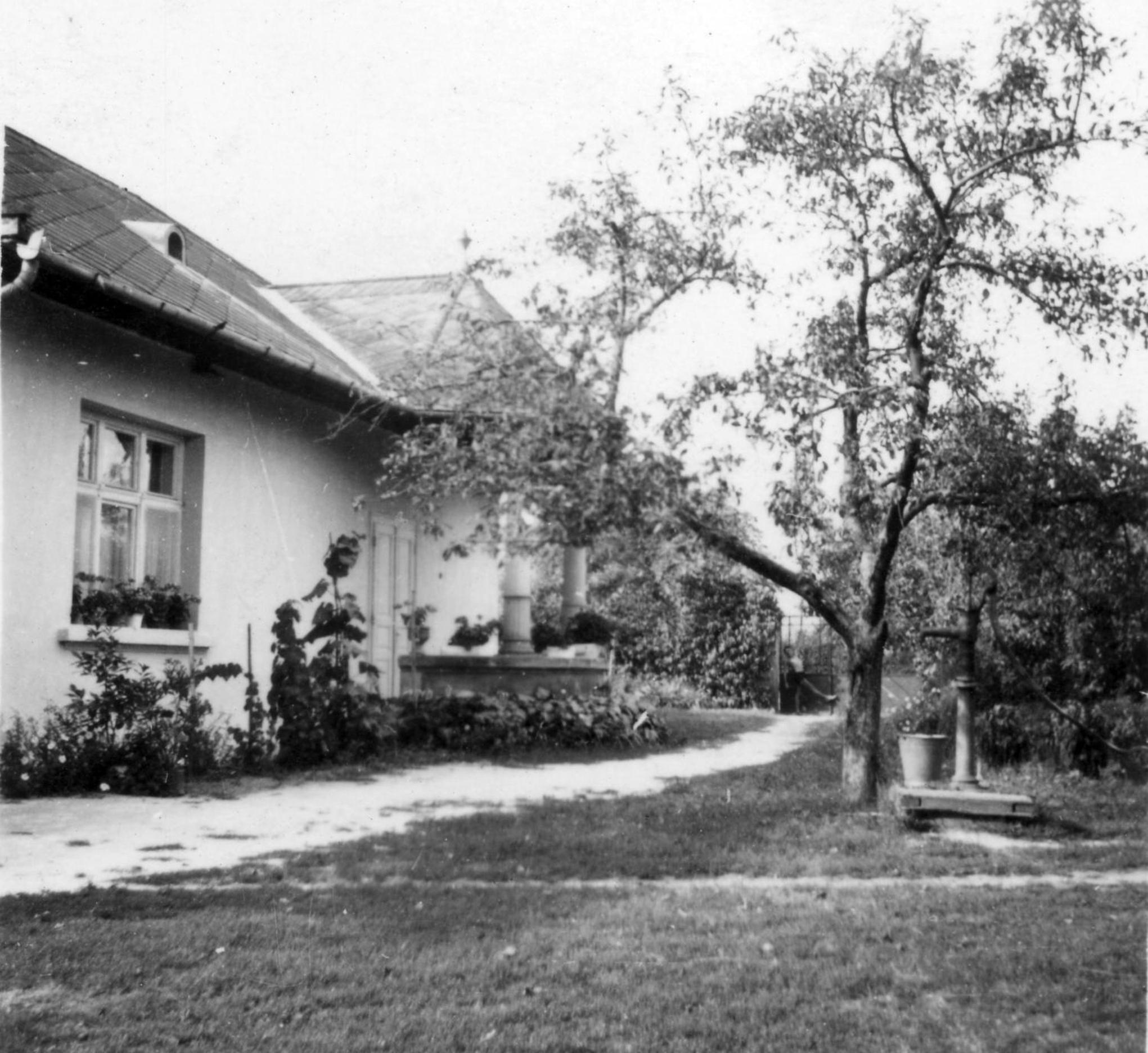 Photo 25