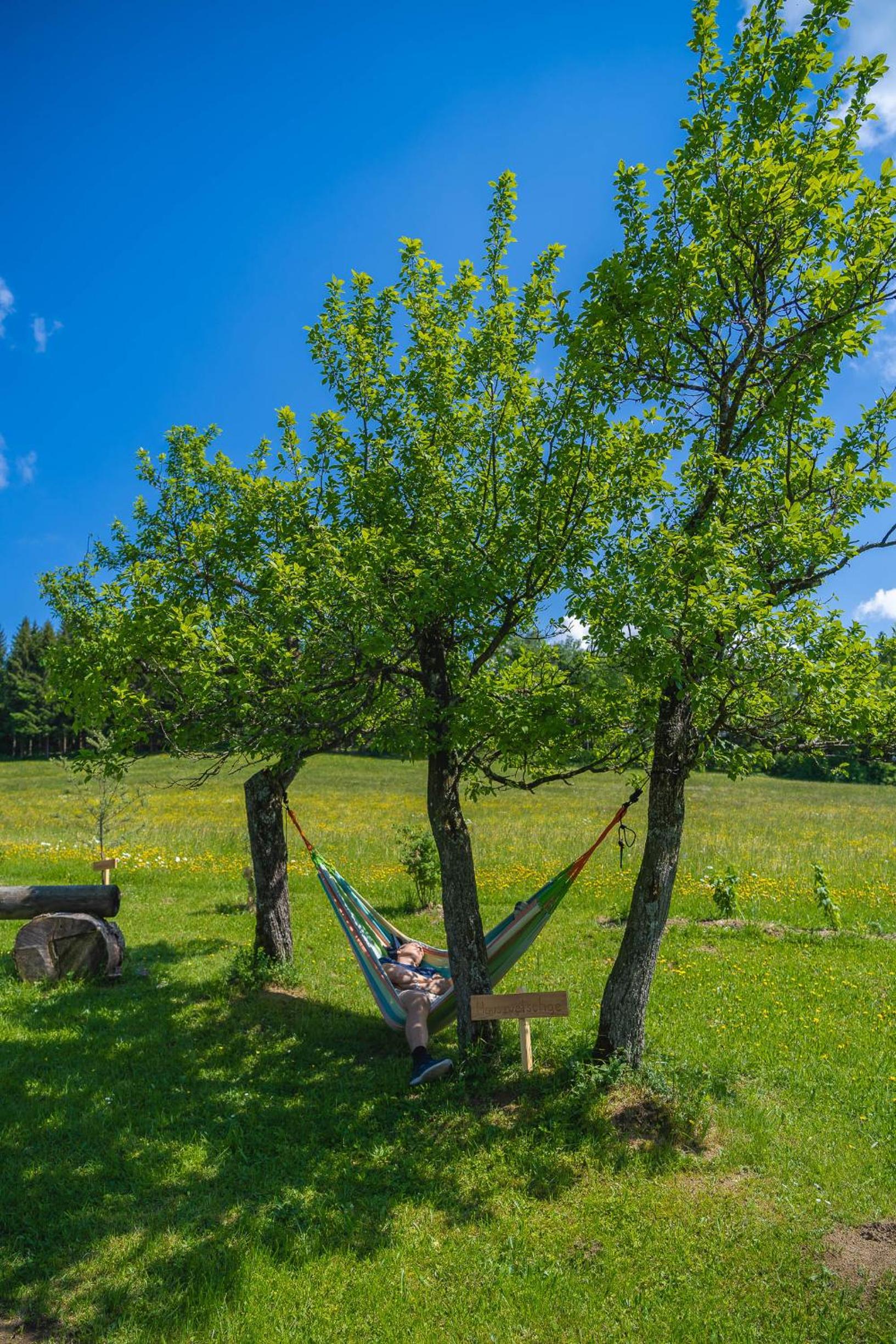 Einkehrhof Poggau
