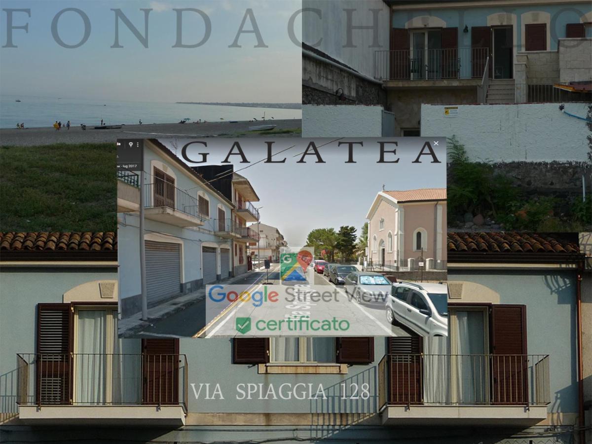 Galatea photo 4