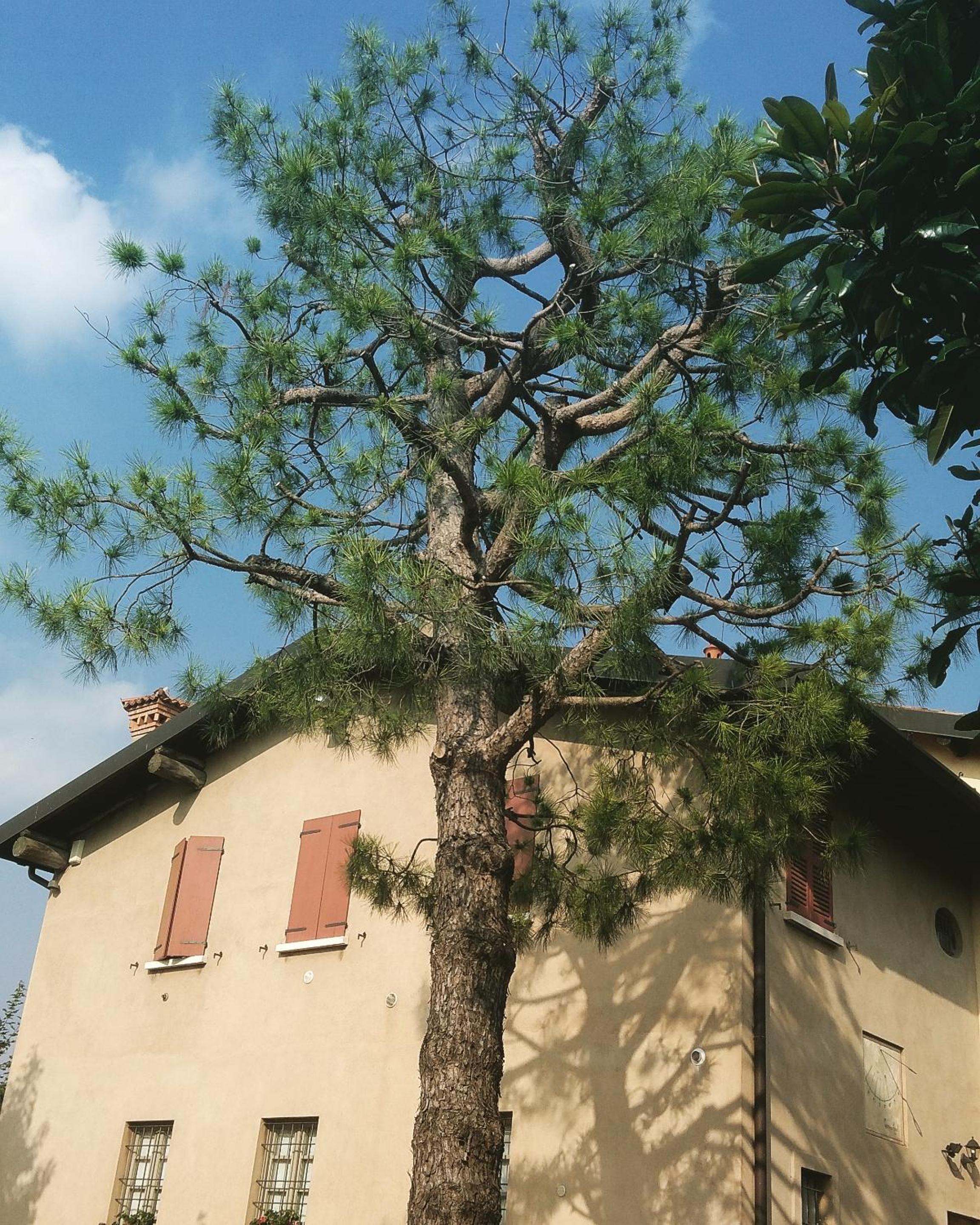 Photo 43