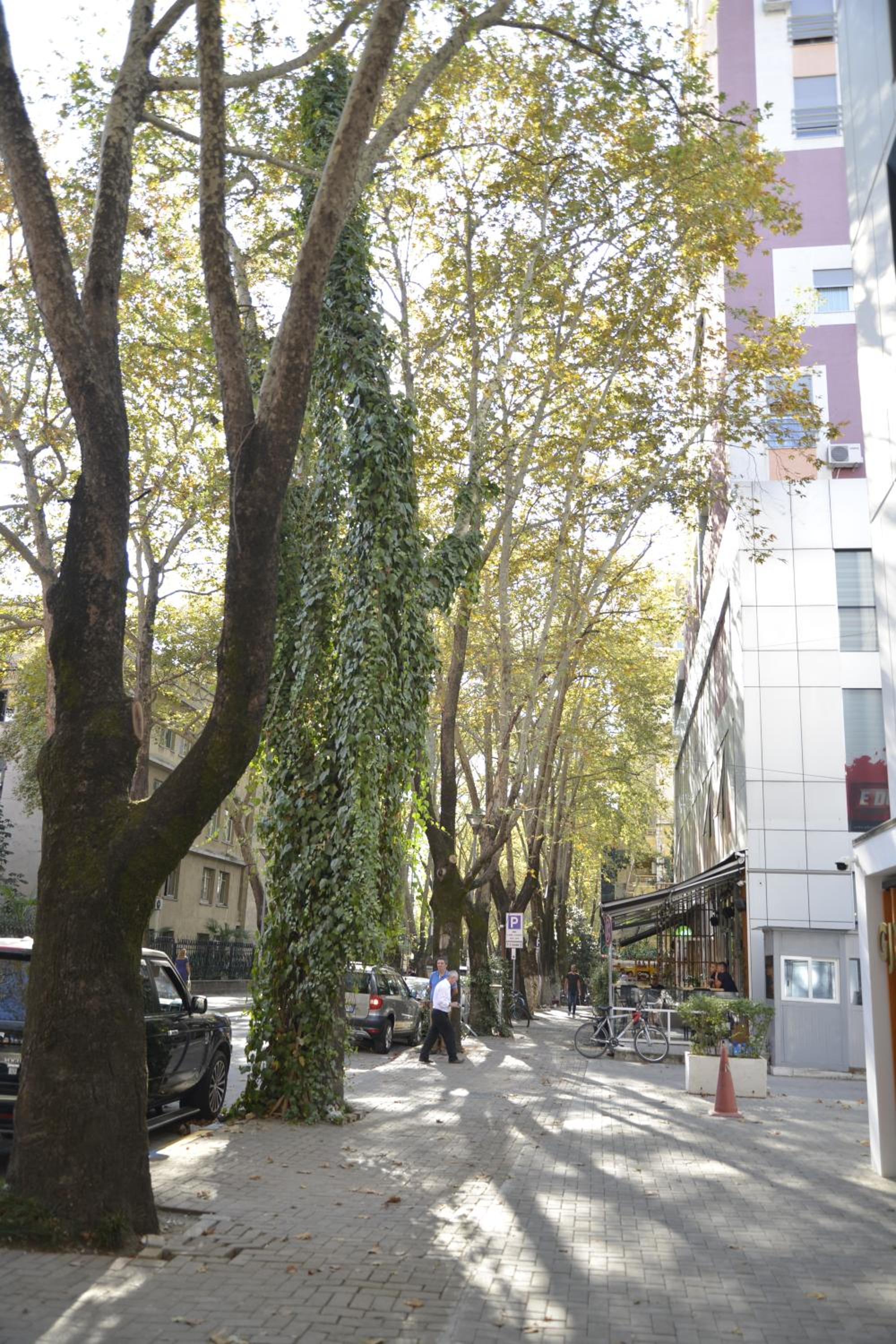 Haris Apartments Tirana