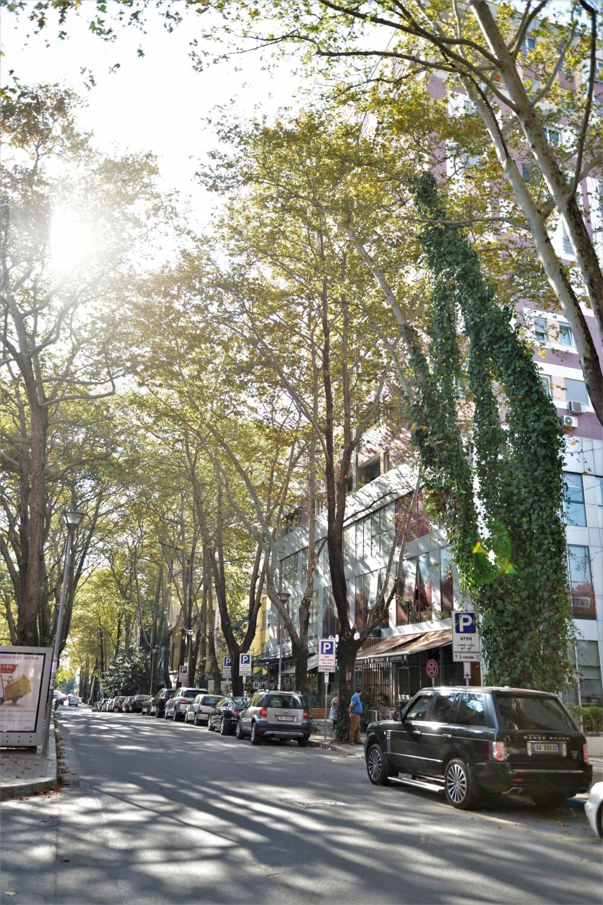 Haris Apartments Tirana