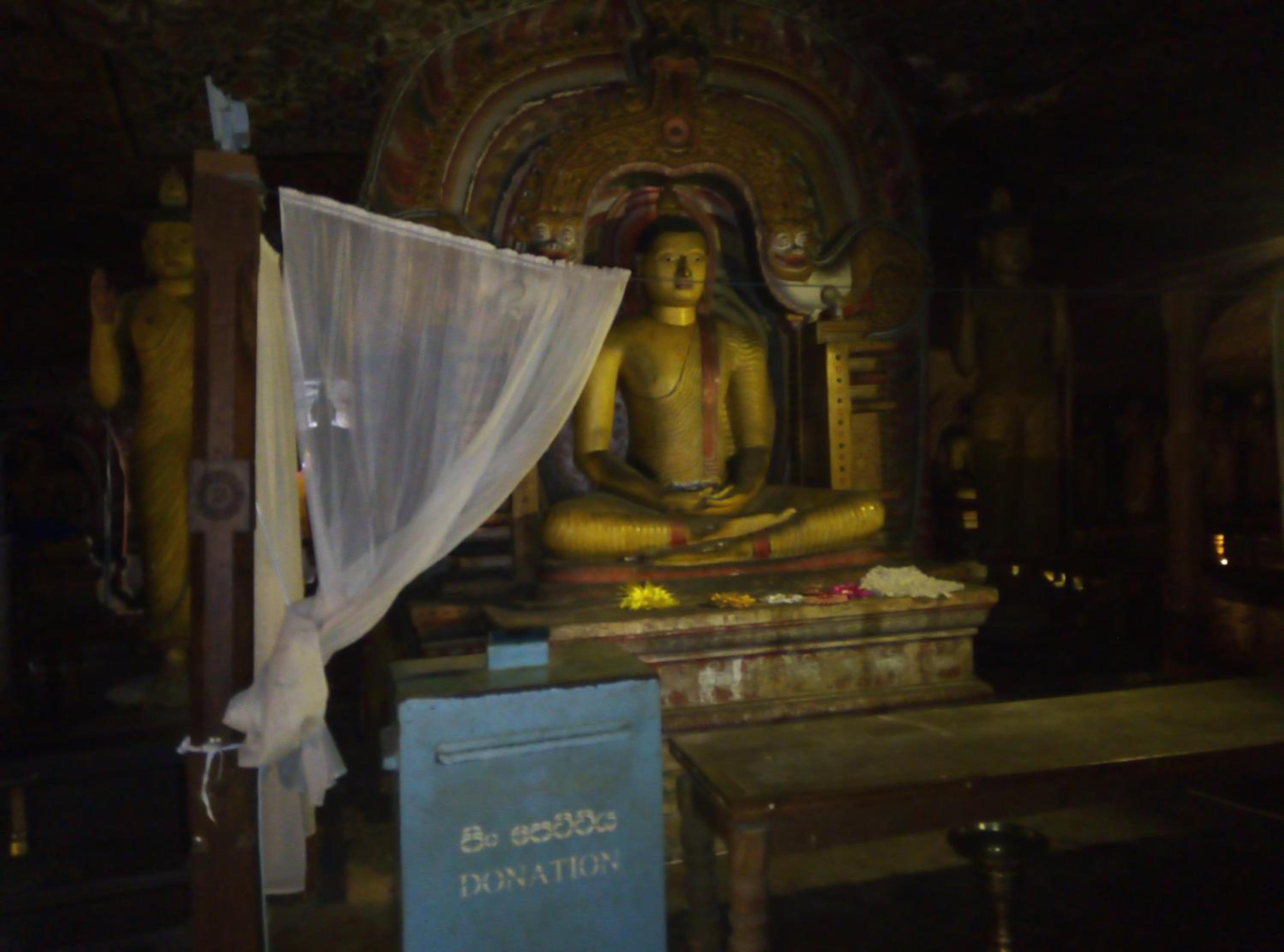Photo 87