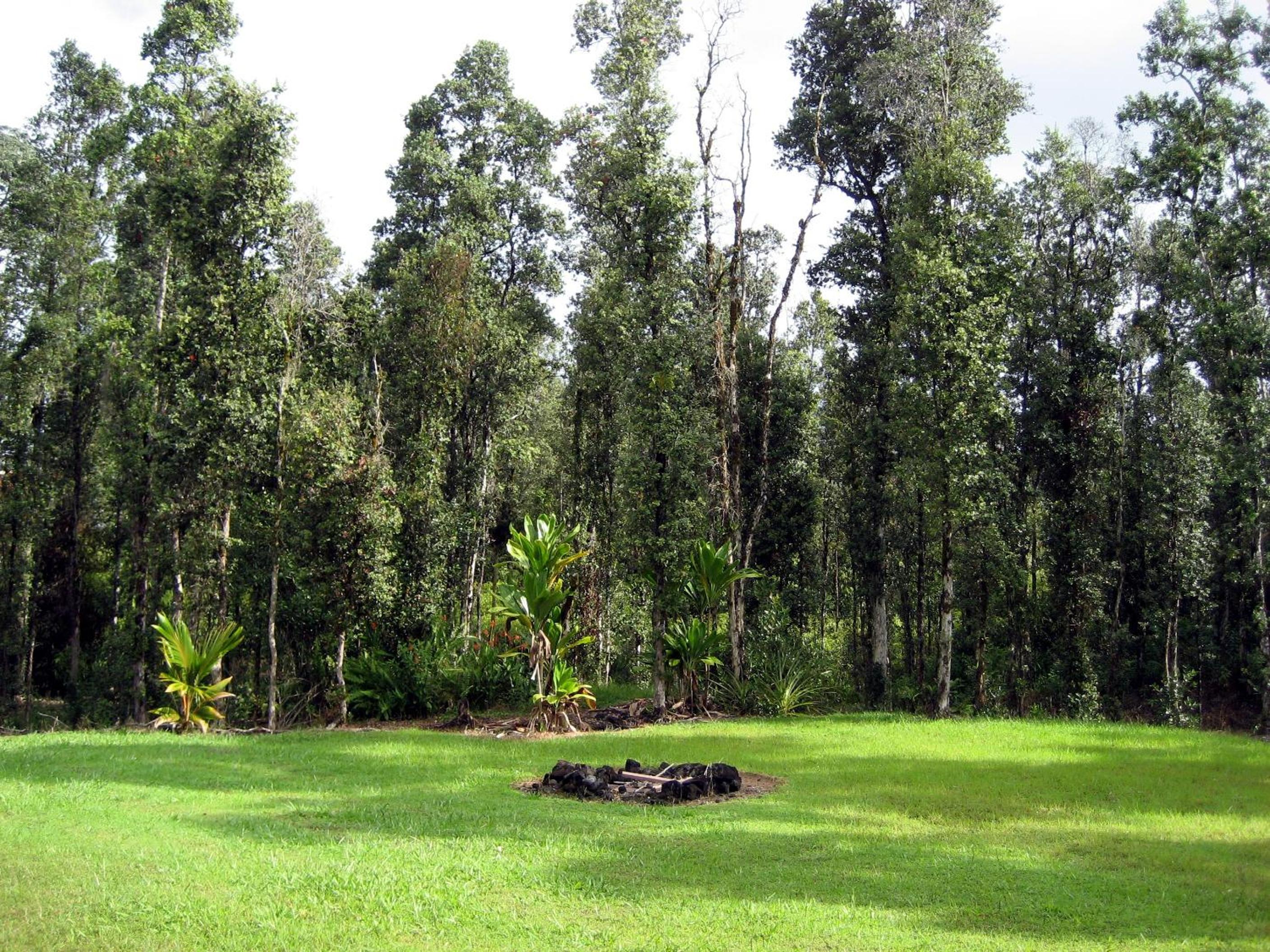 Keaau Place - Property Image 11