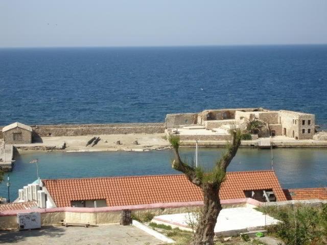 Photo 24