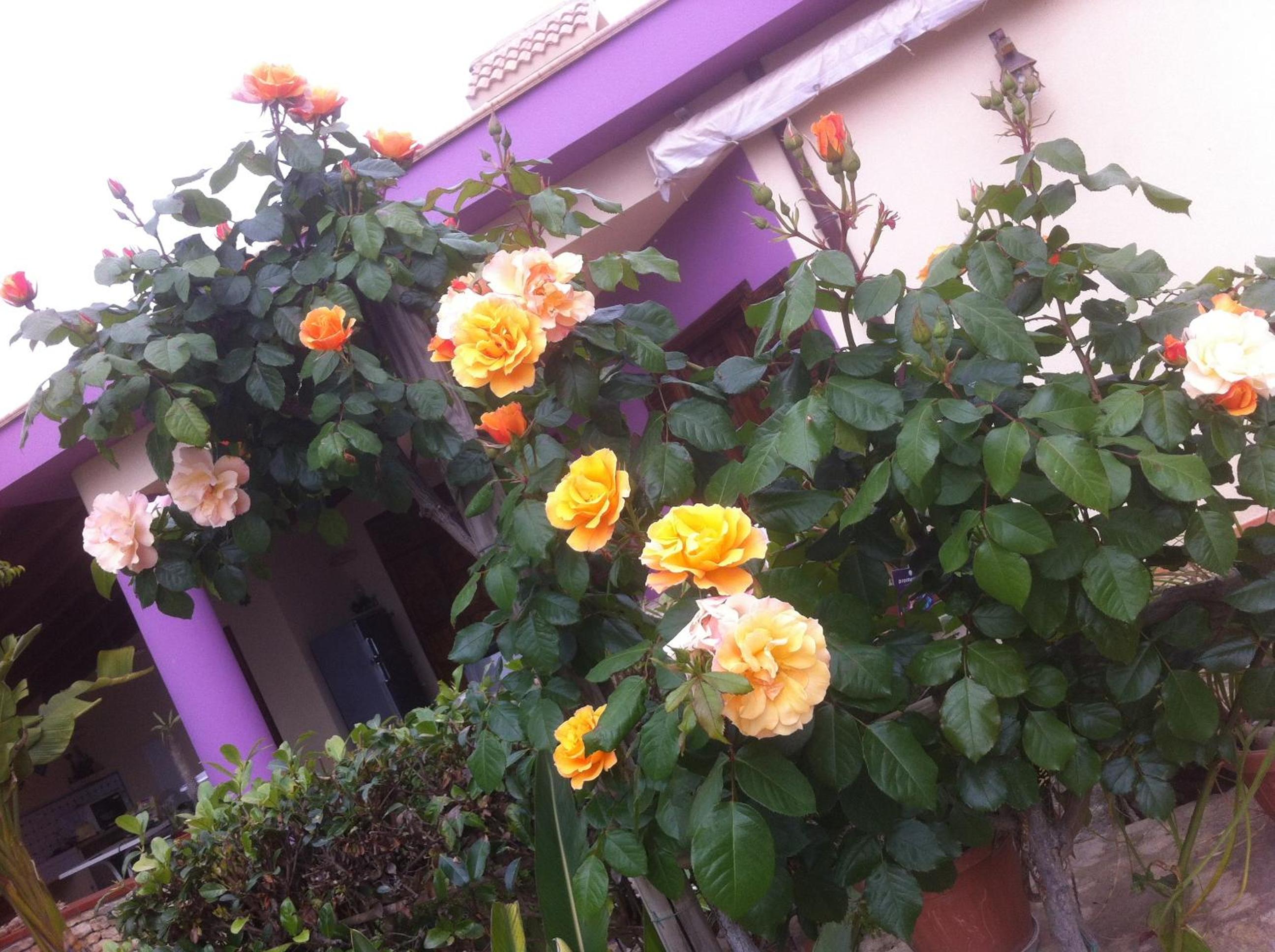 Photo 45