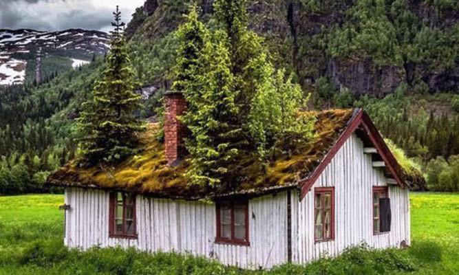 Koselig Hytte i Hemsedal with outdoor Sauna