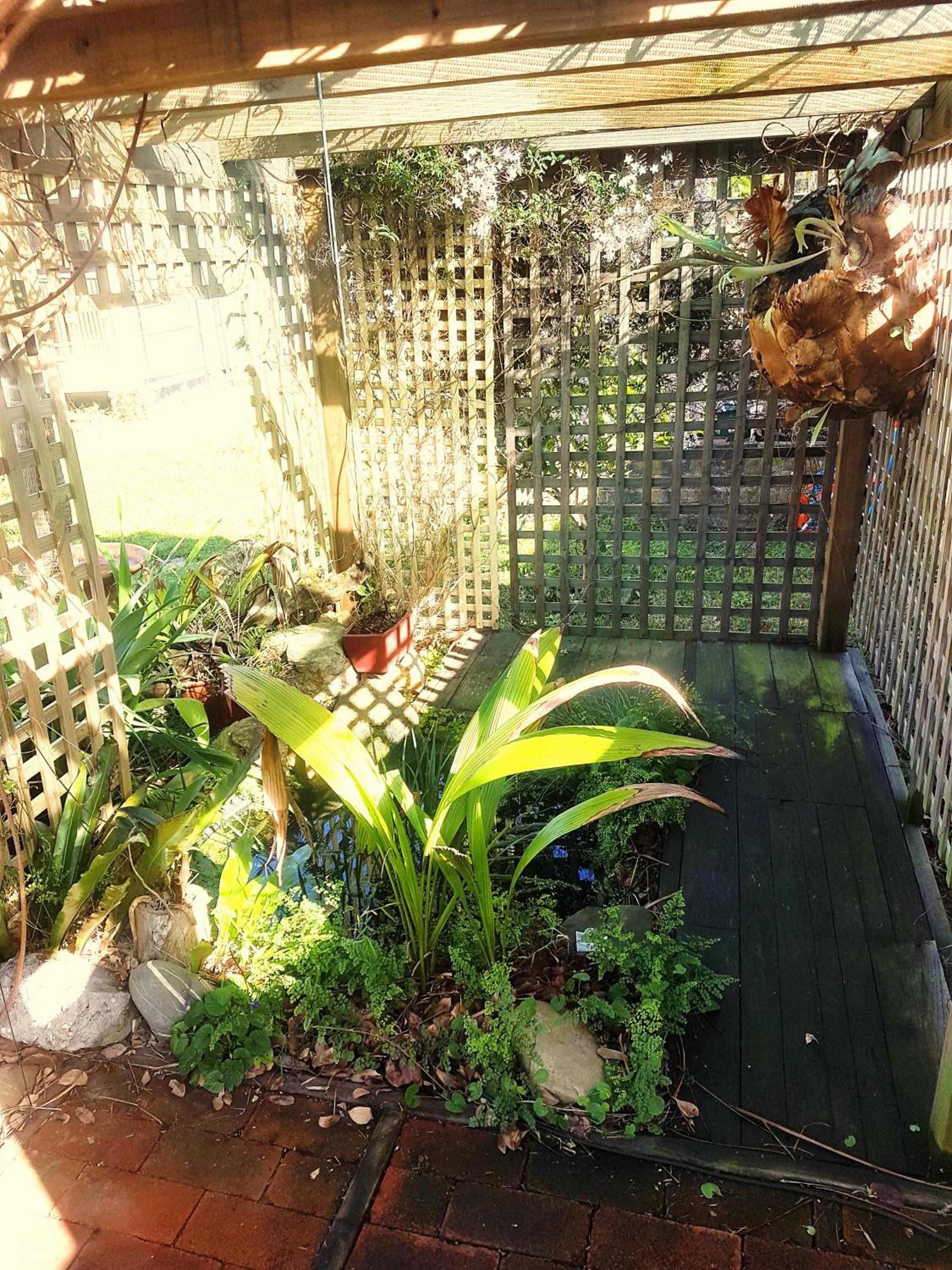 Paradise by the Beach - Culburra beach