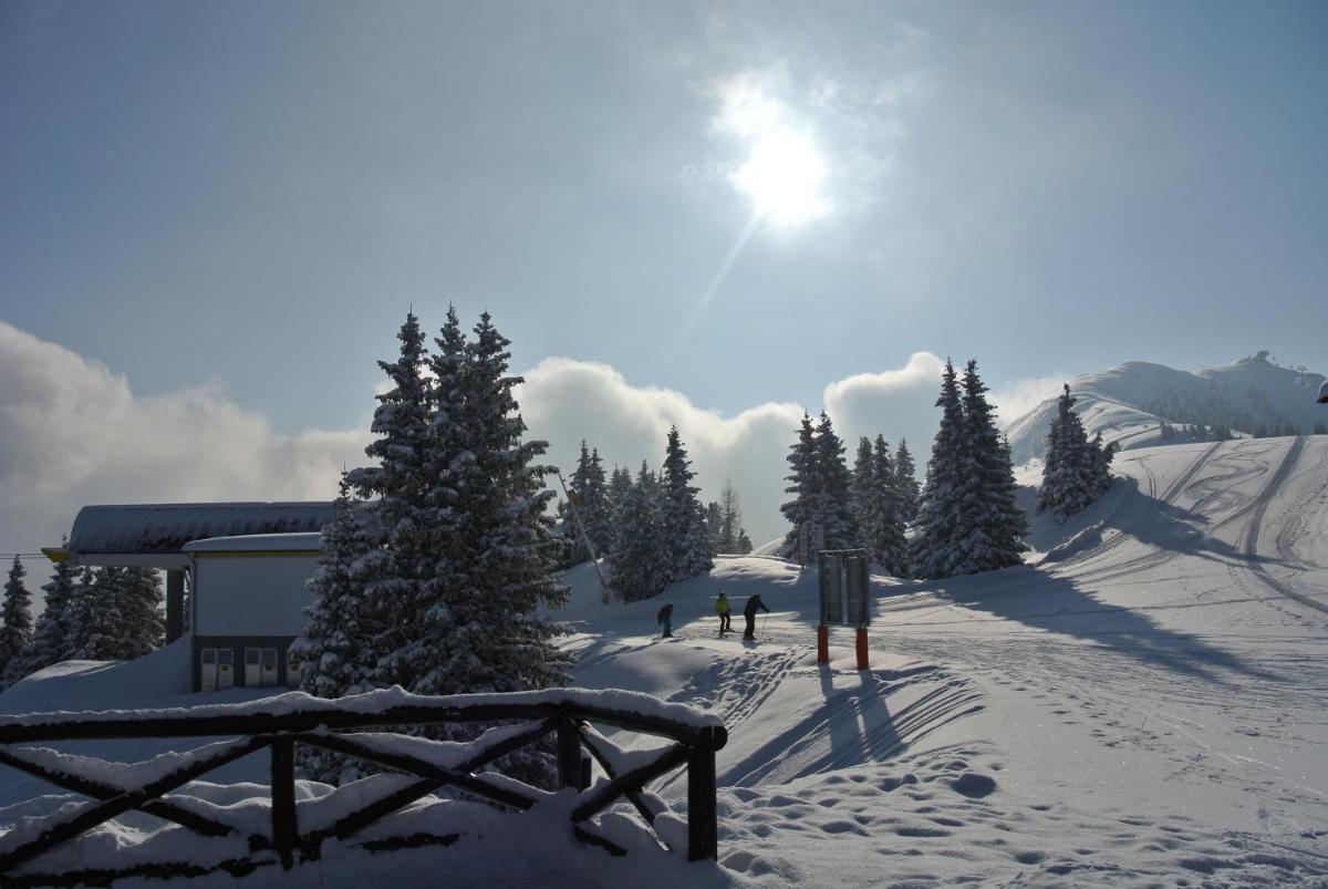 Krummholzhütte