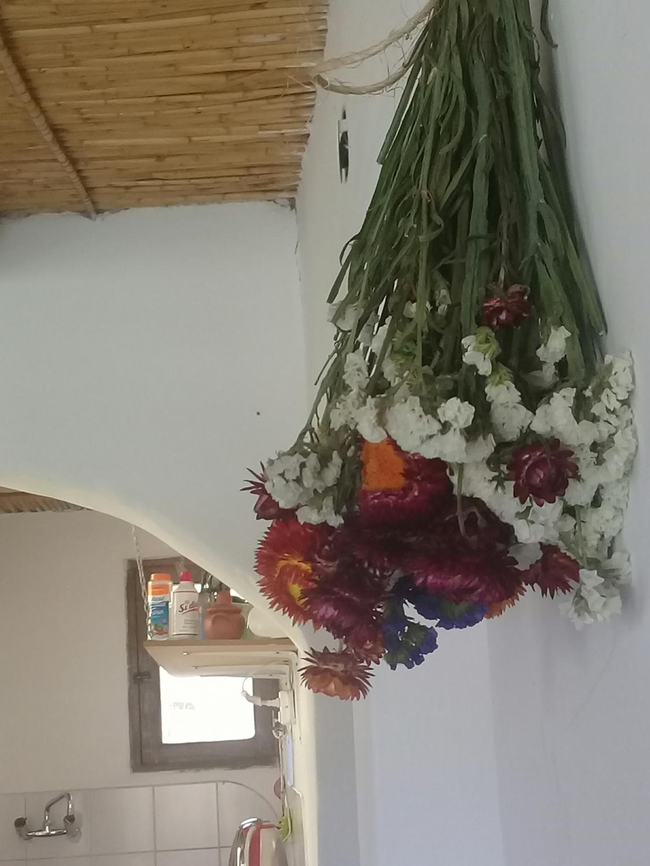 Cabaña El Cardón,casita en el campo quebradeño