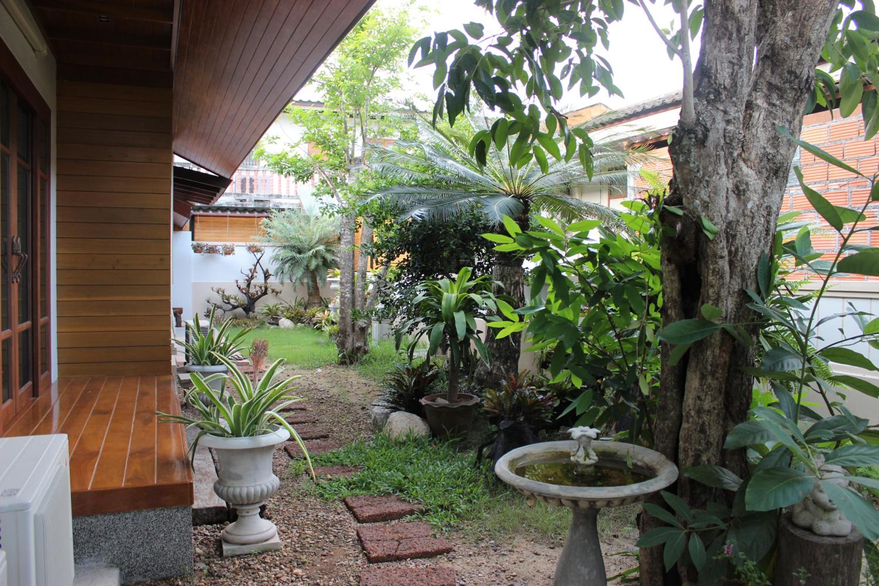 Tree Home Plus