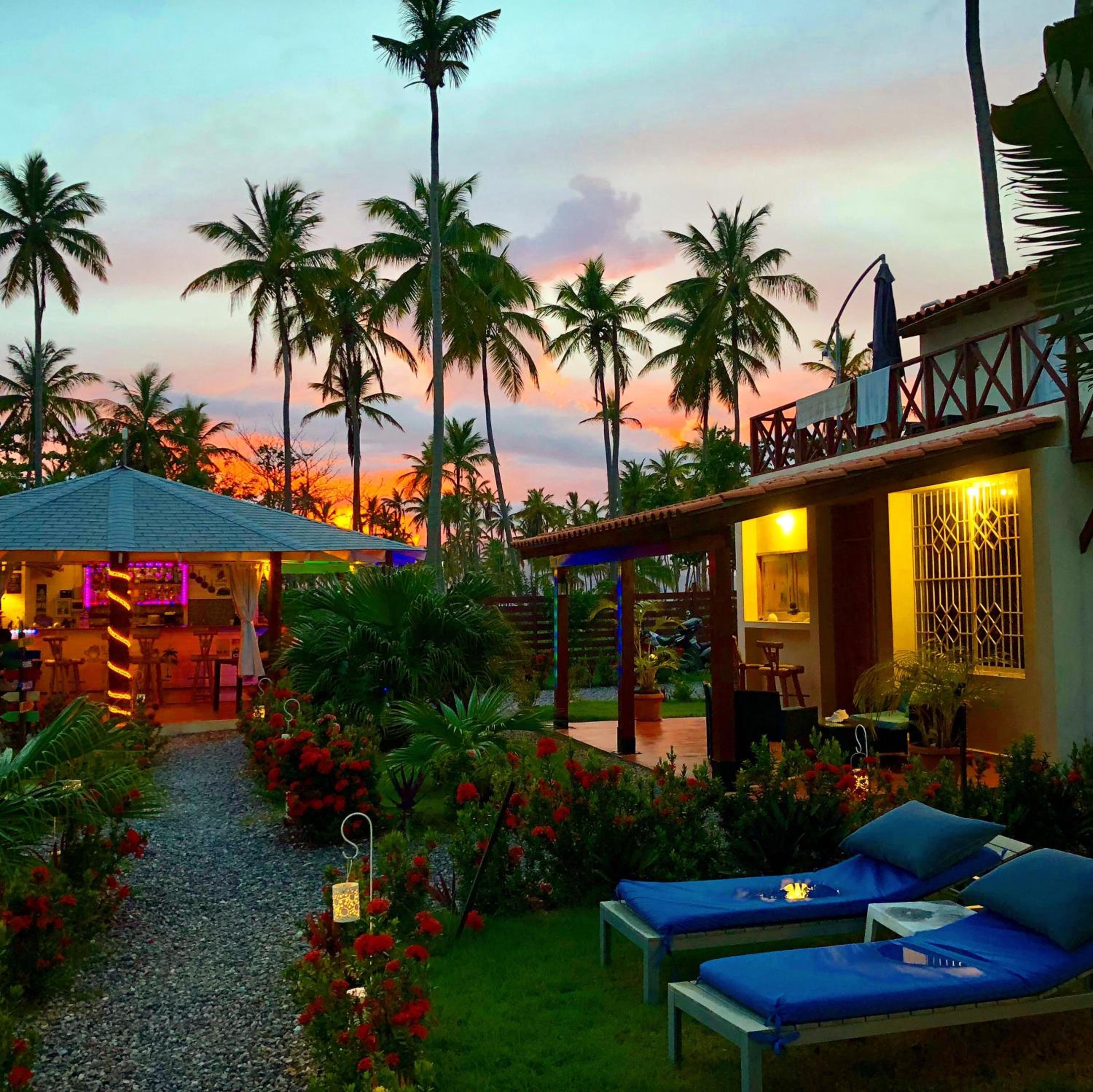 21 Palms