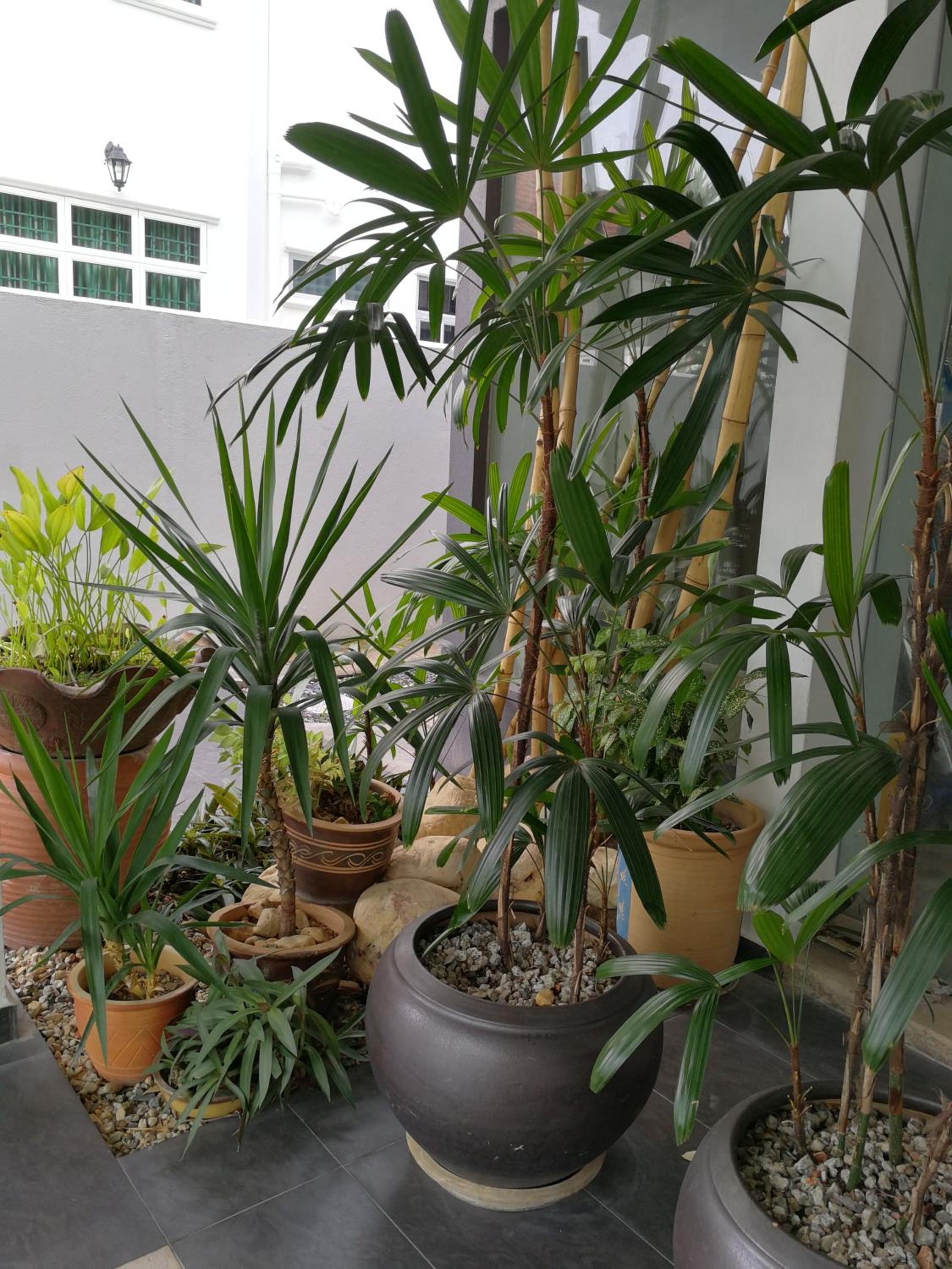 Millenium maison home, Alor Setar - 20