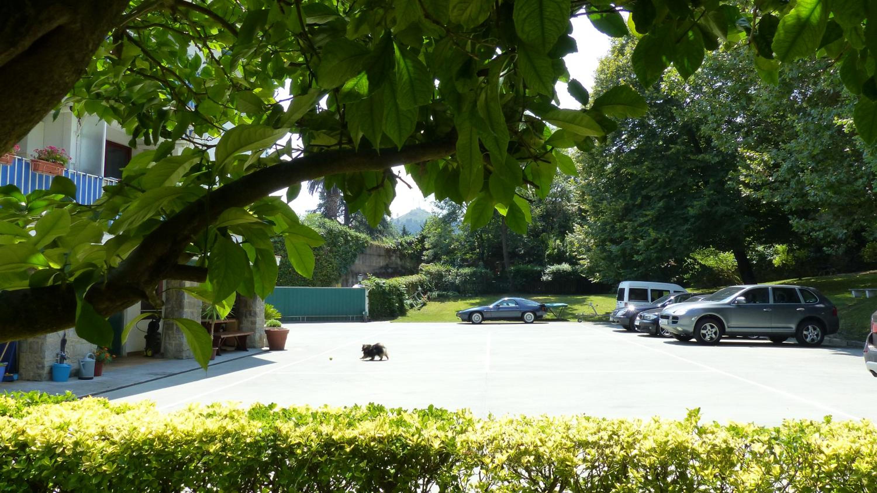 parking