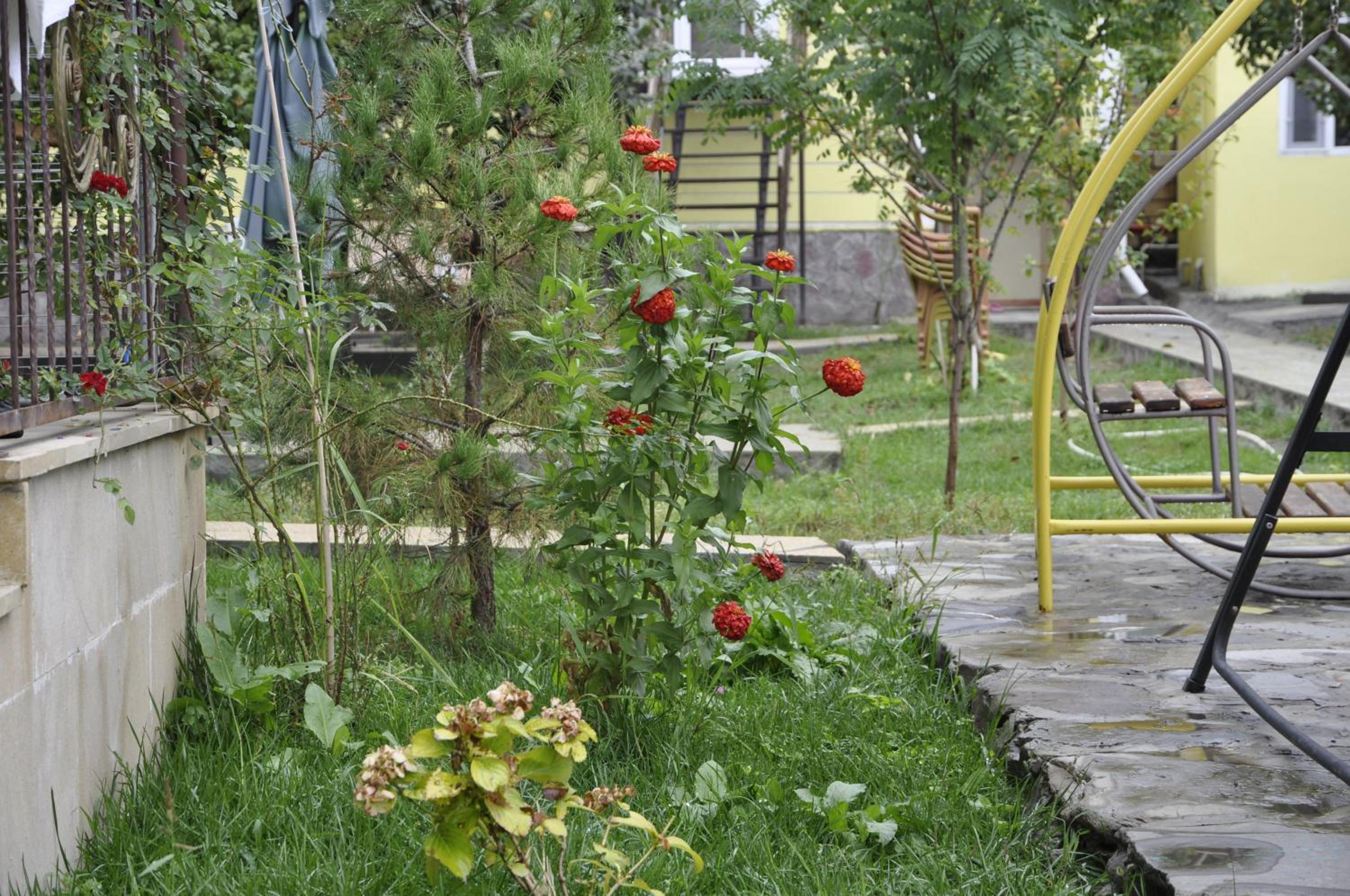 Apartments Firuze