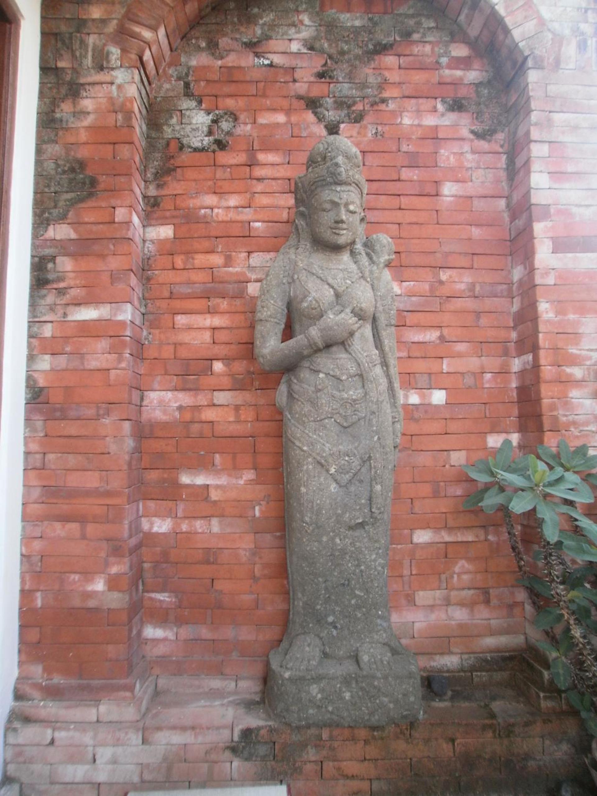 Alamanda Accomodation