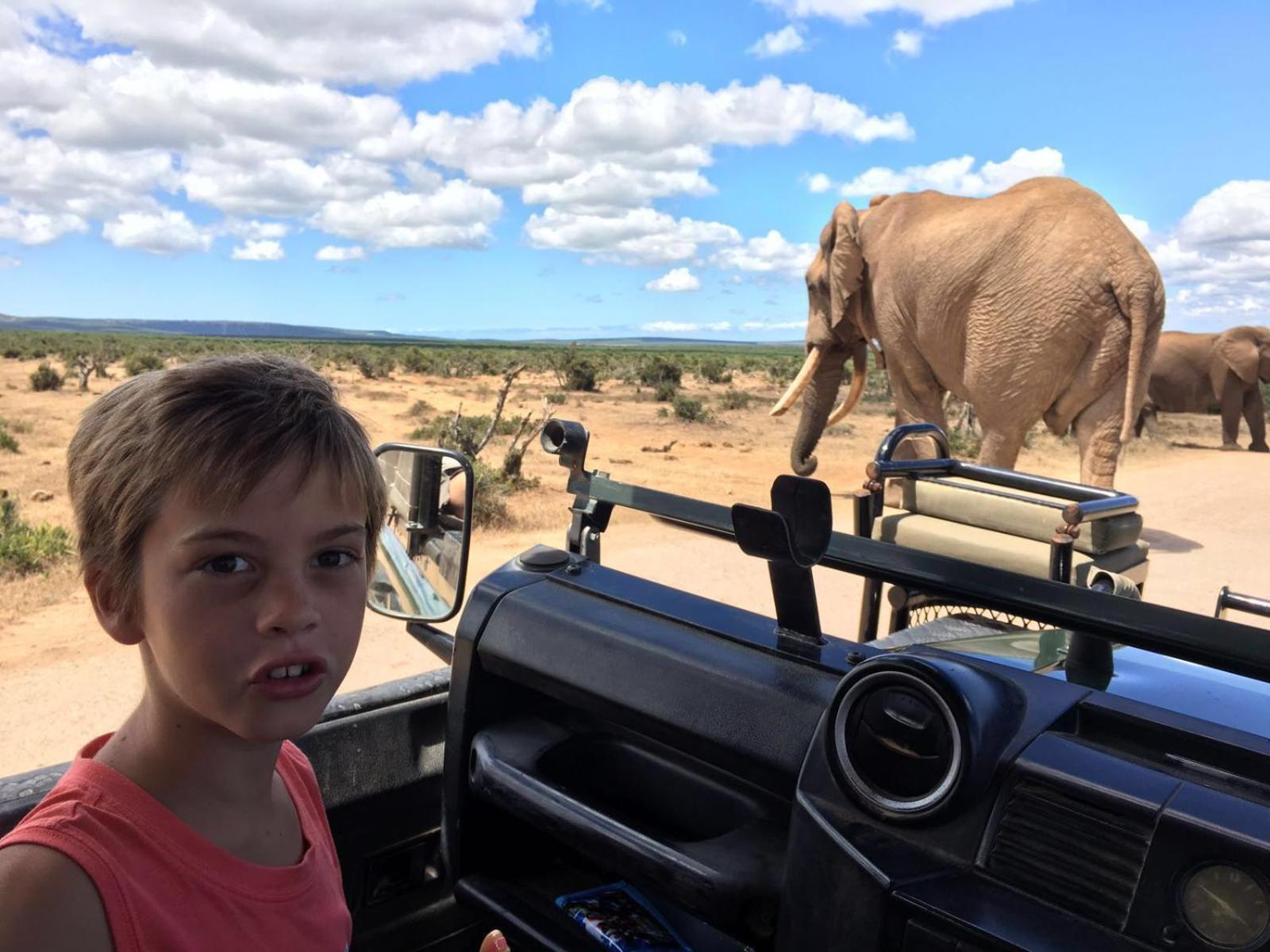 Chrislin African Lodge