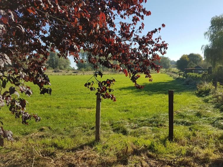 De Goeferdij vakantiewoning